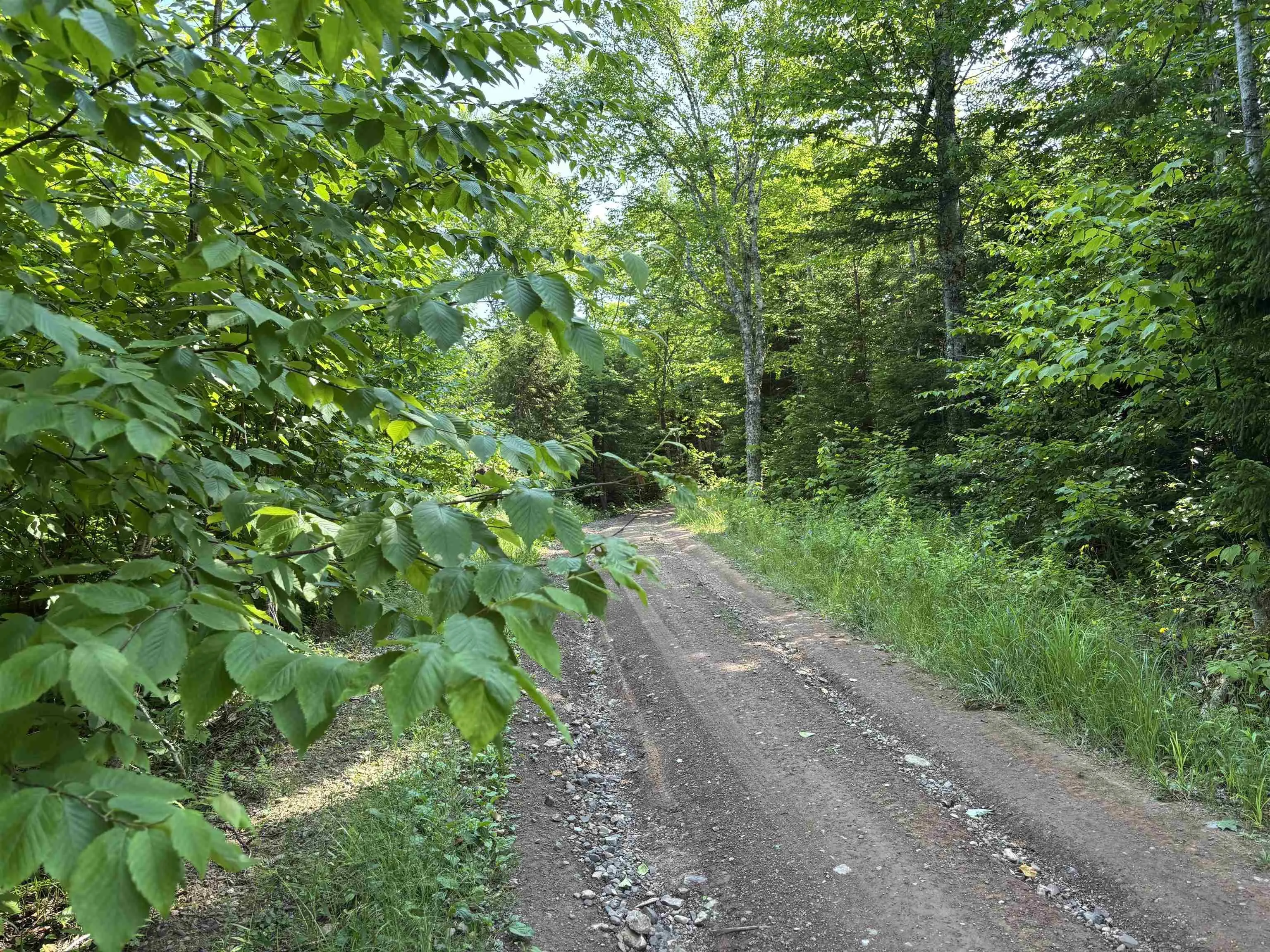 Scotsburn Road, College Grant Ns B0k 1r0, ,Land,For Sale,Scotsburn,202501542