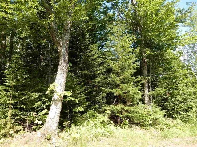 Scotsburn Road, College Grant Ns B0k 1r0, ,Land,For Sale,Scotsburn,202501542