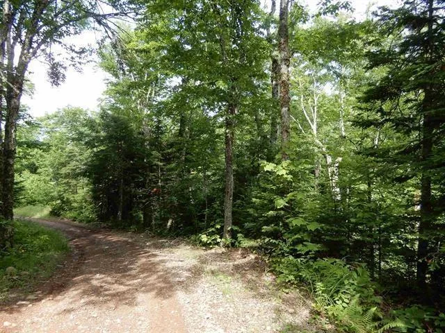 Scotsburn Road, College Grant Ns B0k 1r0, ,Land,For Sale,Scotsburn,202501542