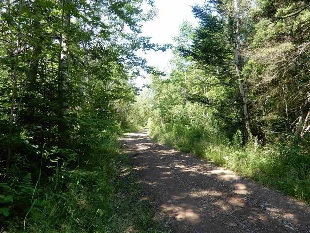 Scotsburn Road, College Grant Ns B0k 1r0, ,Land,For Sale,Scotsburn,202501542