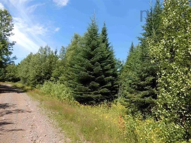 Scotsburn Road, College Grant Ns B0k 1r0, ,Land,For Sale,Scotsburn,202501542