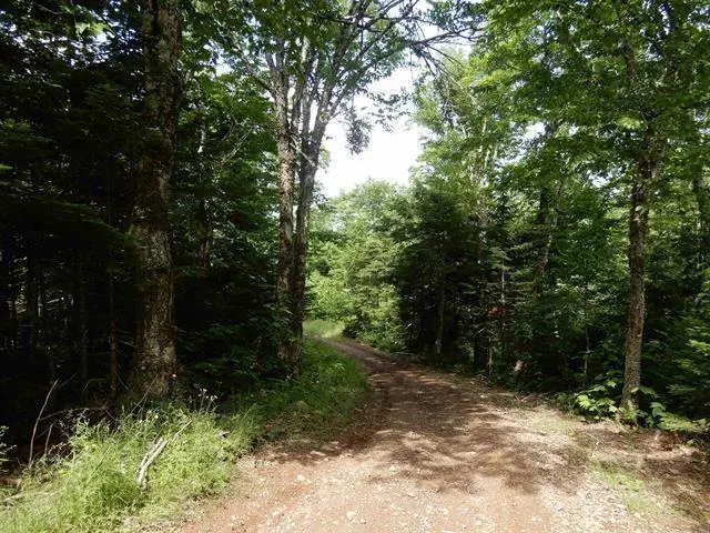 Scotsburn Road, College Grant Ns B0k 1r0, ,Land,For Sale,Scotsburn,202501542