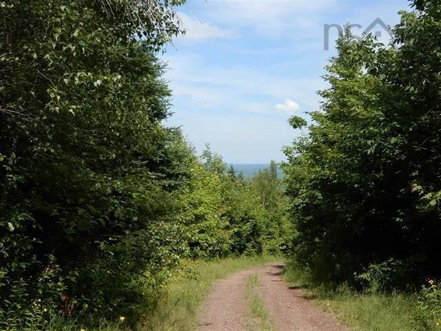 Scotsburn Road, College Grant Ns B0k 1r0, ,Land,For Sale,Scotsburn,202501542