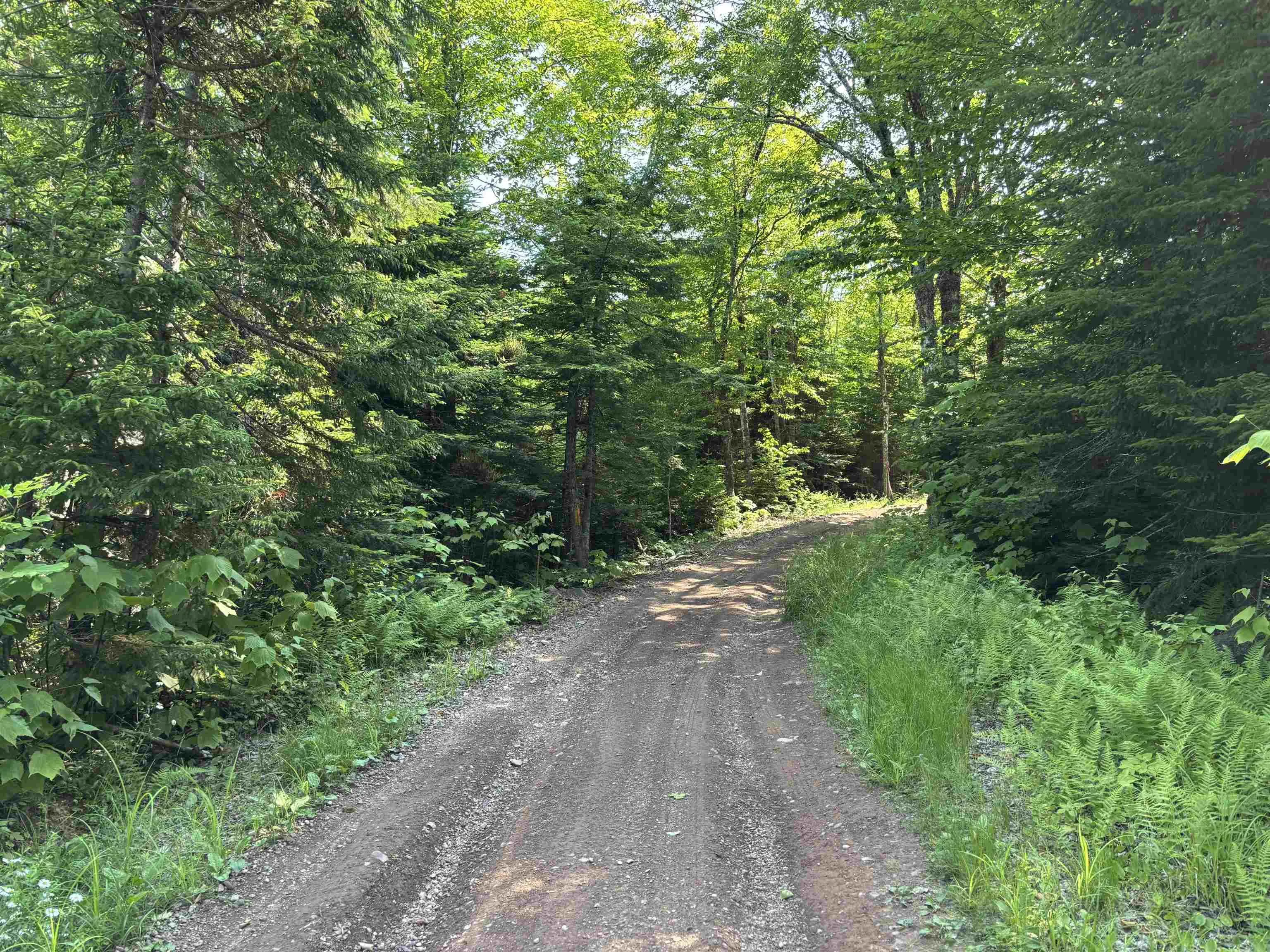 Scotsburn Road, College Grant Ns B0k 1r0, ,Land,For Sale,Scotsburn,202501542