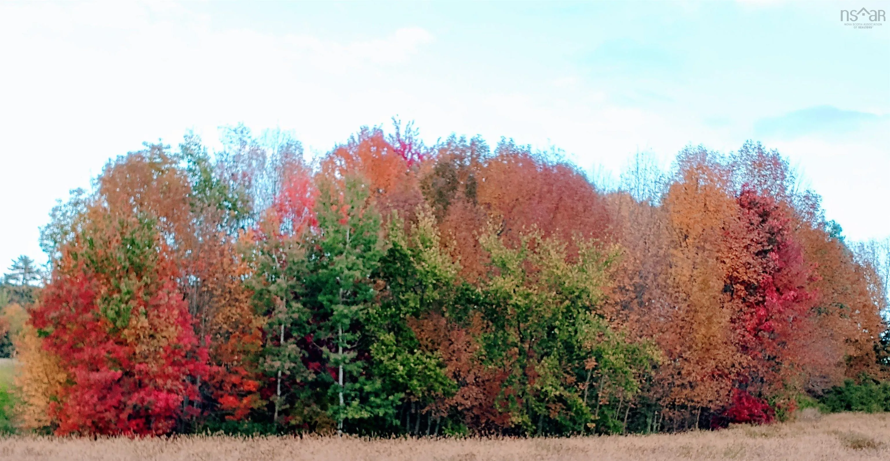 Havre Boucher (simons) Road, Frankville Ns B0h 1k0, ,Land,For Sale,Havre Boucher (Simons),202424146