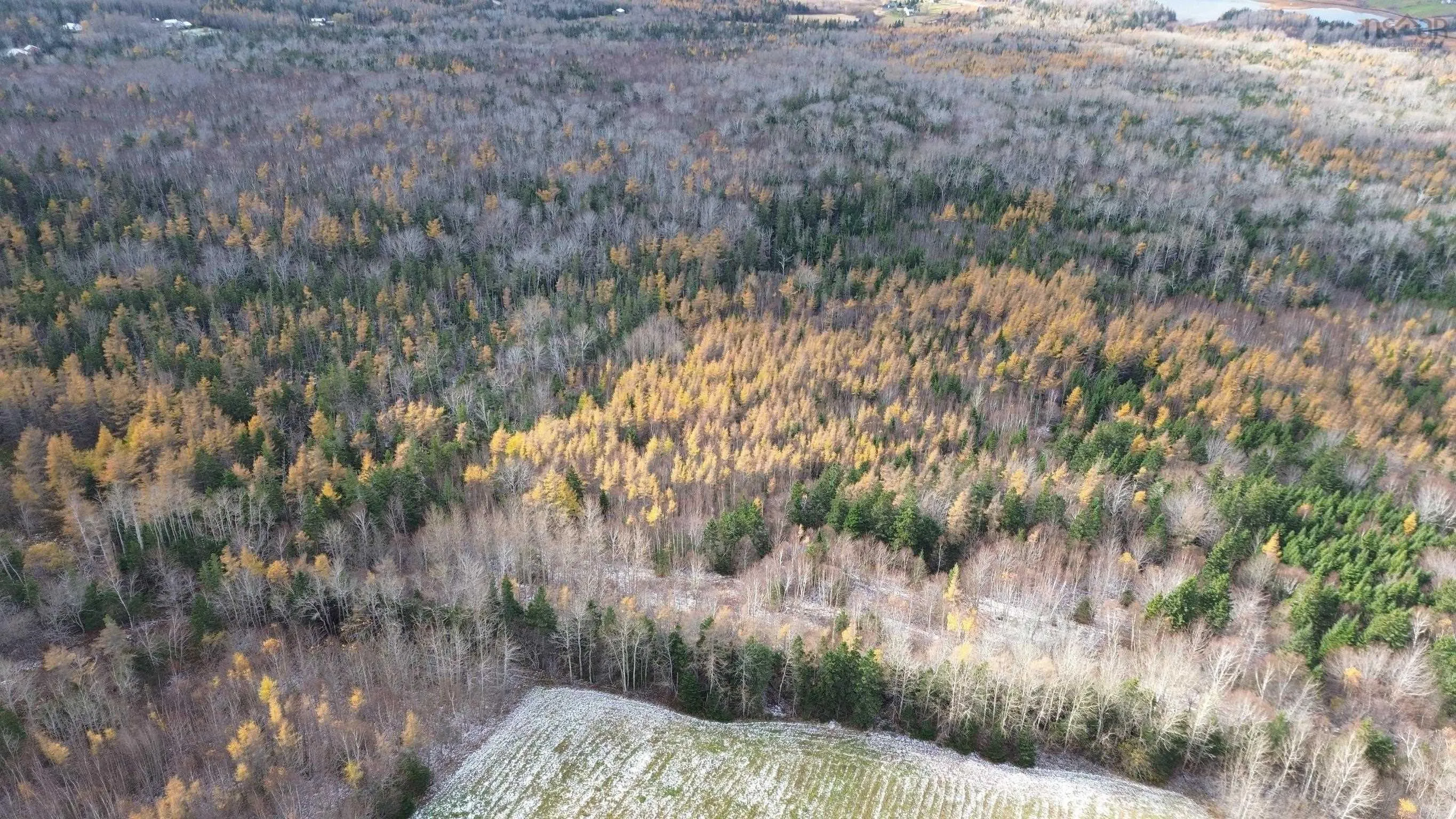 Mill Brook Road, Judique North Ns B0e 1p0, ,Land,For Sale,Mill Brook,202425594