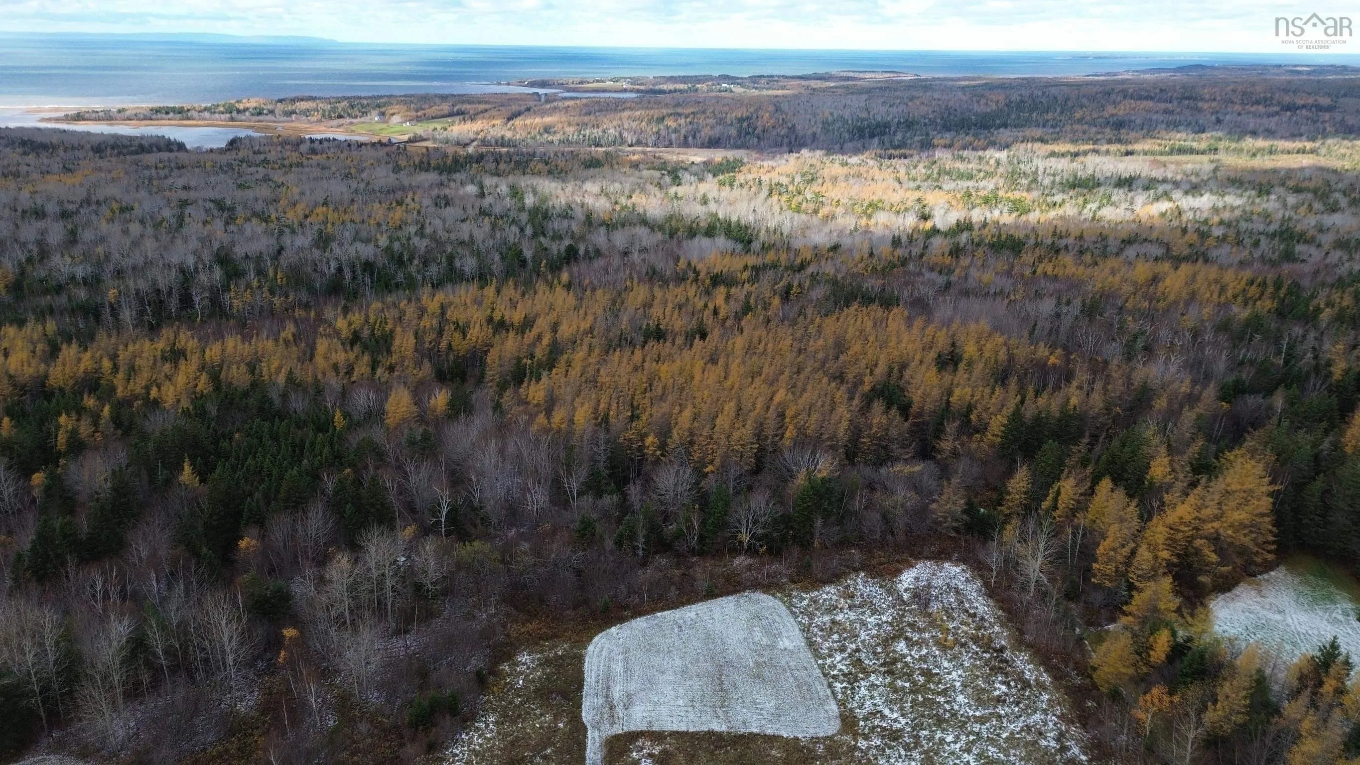 Mill Brook Road, Judique North Ns B0e 1p0, ,Land,For Sale,Mill Brook,202425594
