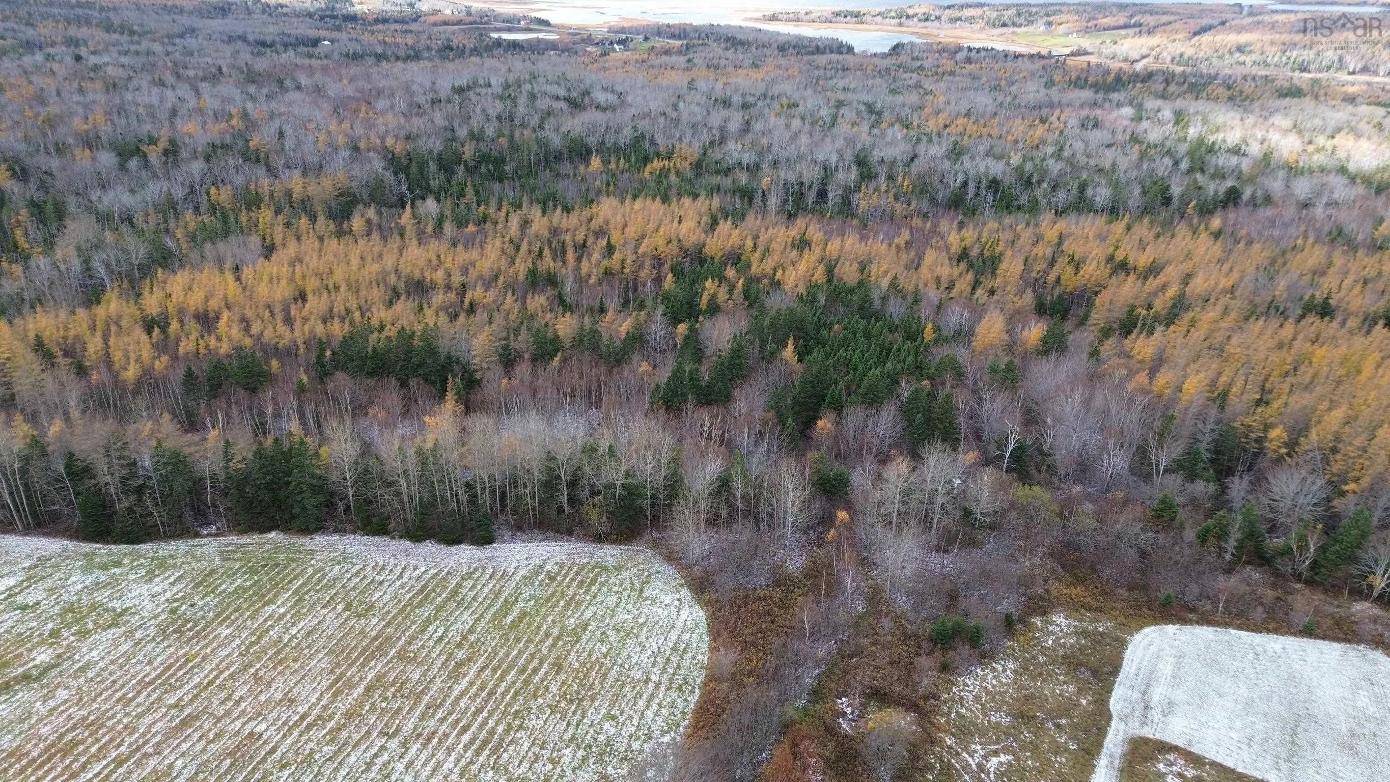 Mill Brook Road, Judique North Ns B0e 1p0, ,Land,For Sale,Mill Brook,202425594