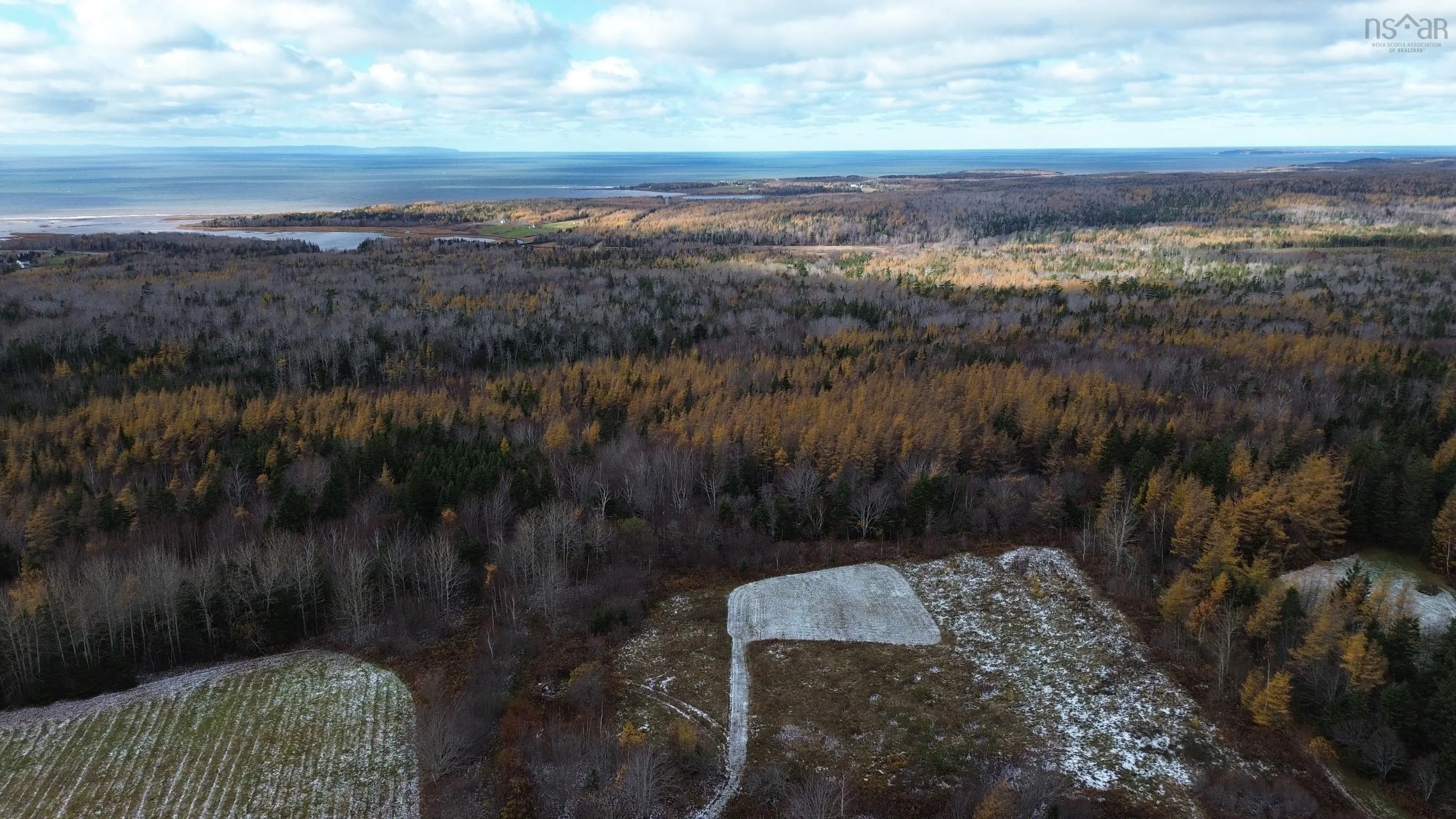 Mill Brook Road, Judique North Ns B0e 1p0, ,Land,For Sale,Mill Brook,202425594