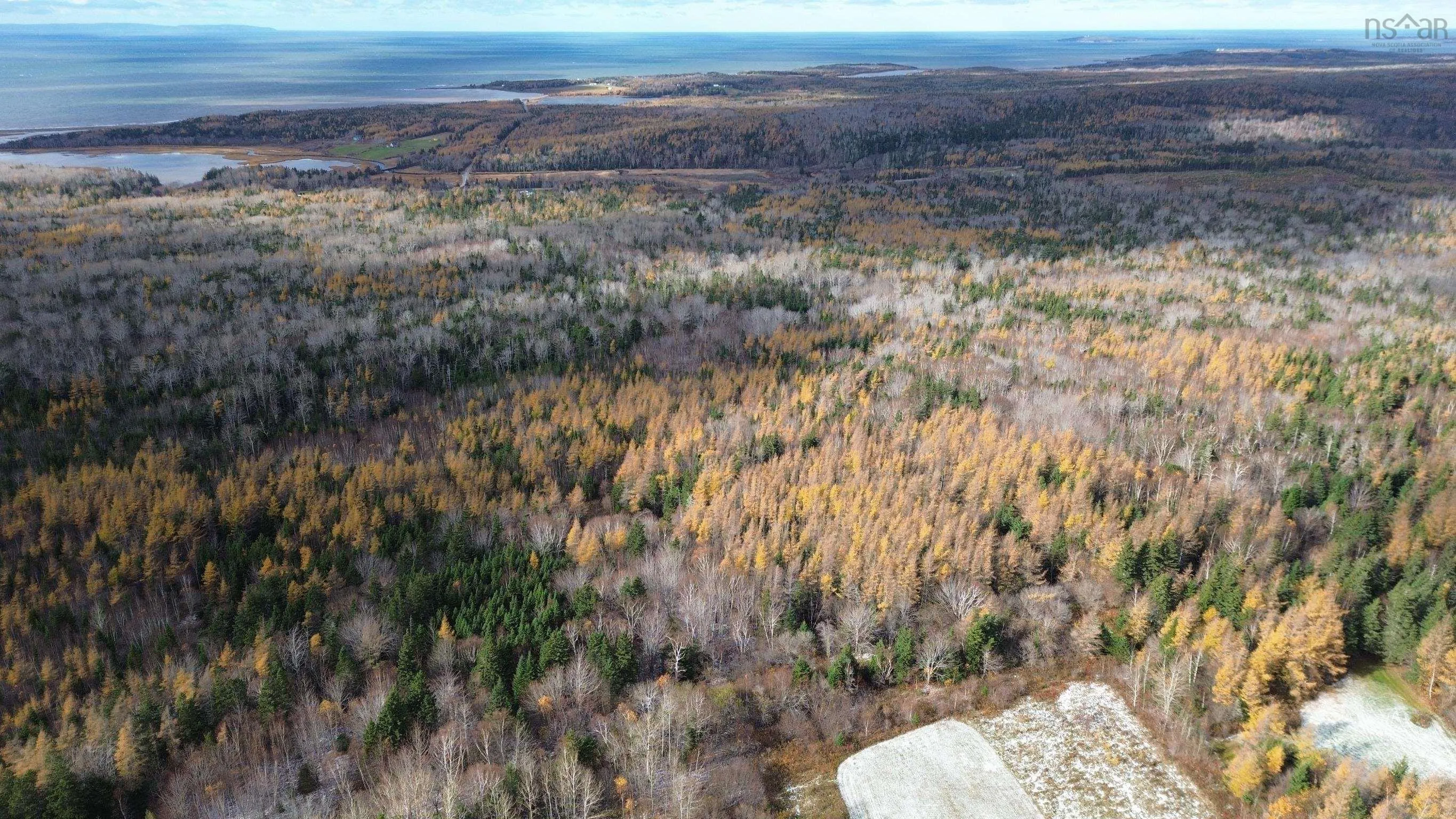 Mill Brook Road, Judique North Ns B0e 1p0, ,Land,For Sale,Mill Brook,202425594
