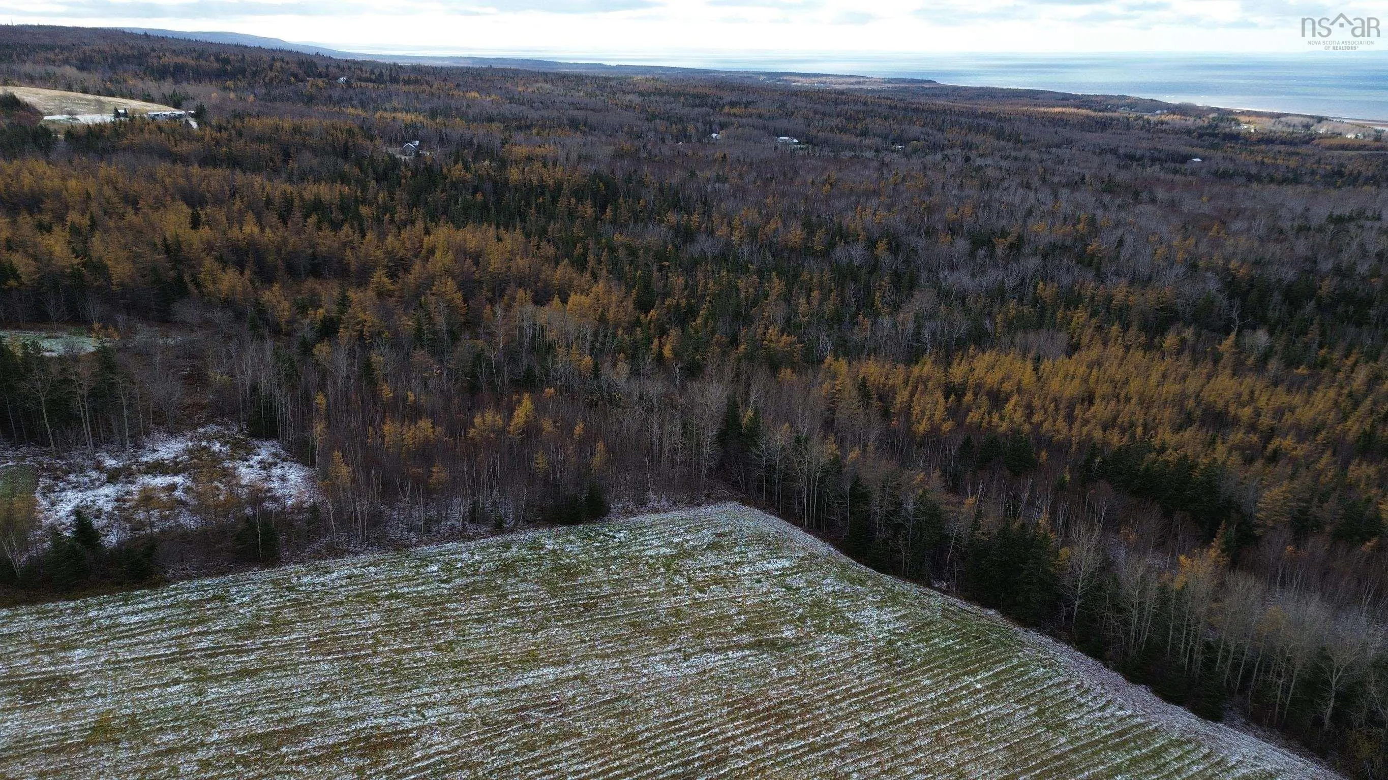Mill Brook Road, Judique North Ns B0e 1p0, ,Land,For Sale,Mill Brook,202425594