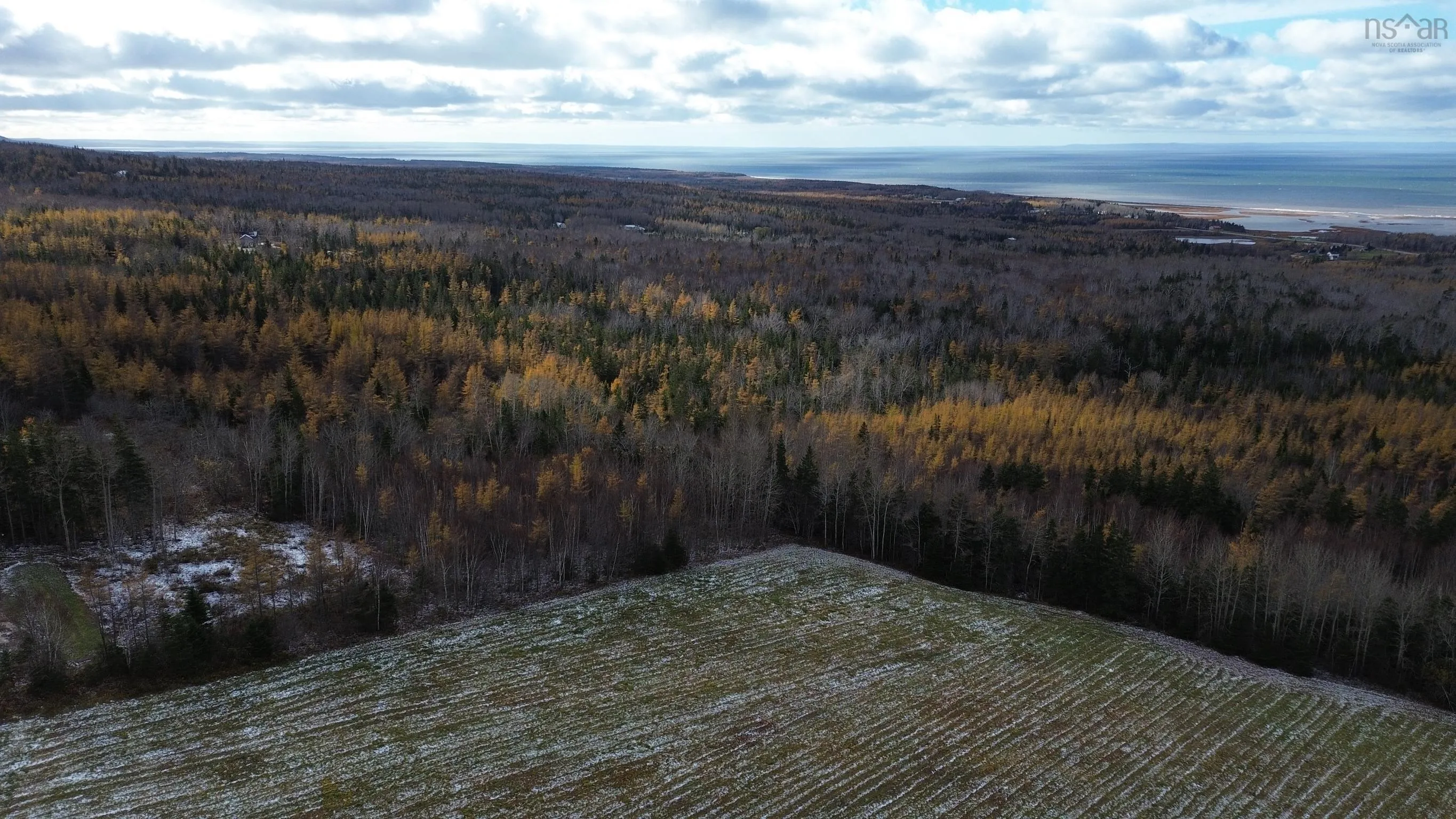 Mill Brook Road, Judique North Ns B0e 1p0, ,Land,For Sale,Mill Brook,202425594