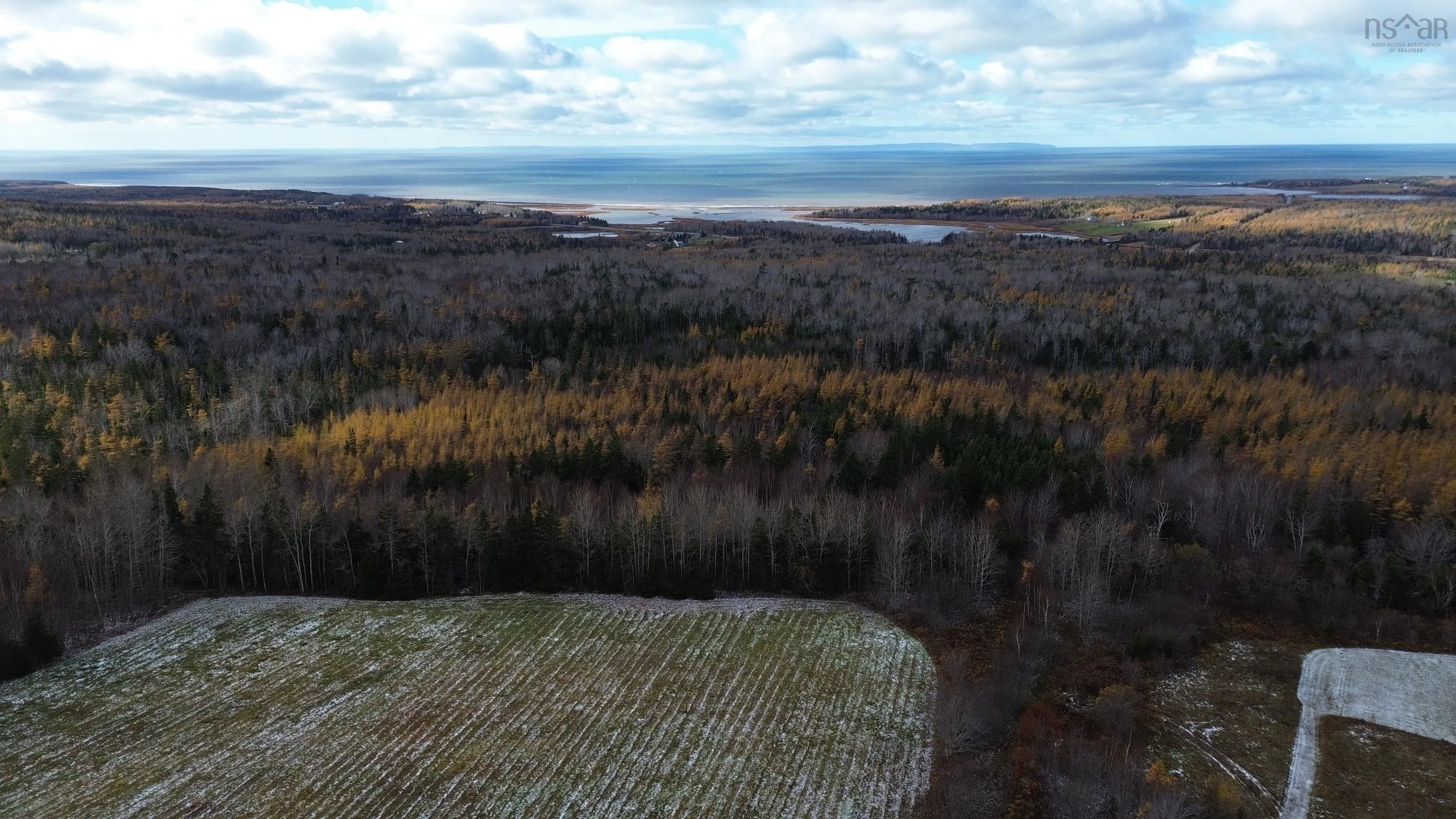 Mill Brook Road, Judique North Ns B0e 1p0, ,Land,For Sale,Mill Brook,202425594