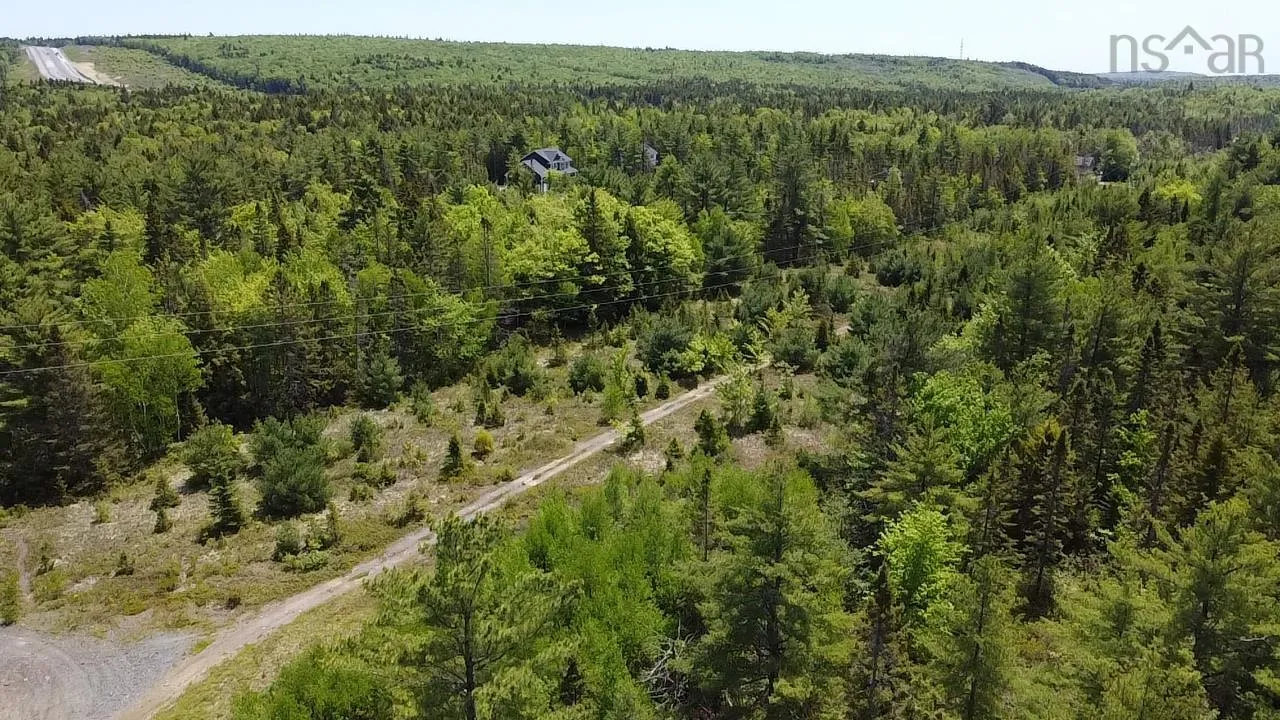 75 Leafs Lane, Wellington, NS B2T 0E7, ,Land,For Sale,Leafs Lane,202518487