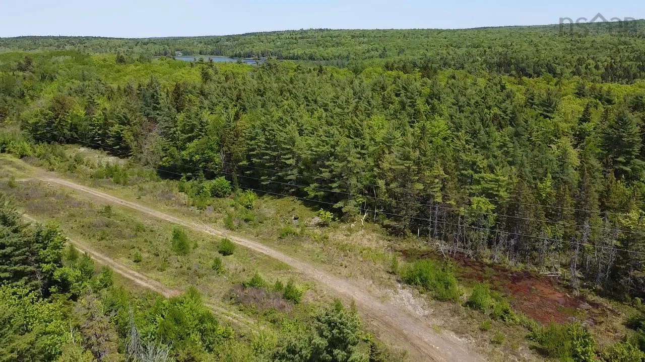75 Leafs Lane, Wellington, NS B2T 0E7, ,Land,For Sale,Leafs Lane,202518487