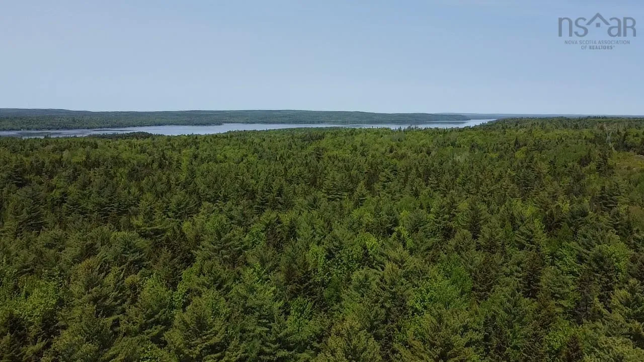 75 Leafs Lane, Wellington, NS B2T 0E7, ,Land,For Sale,Leafs Lane,202518487
