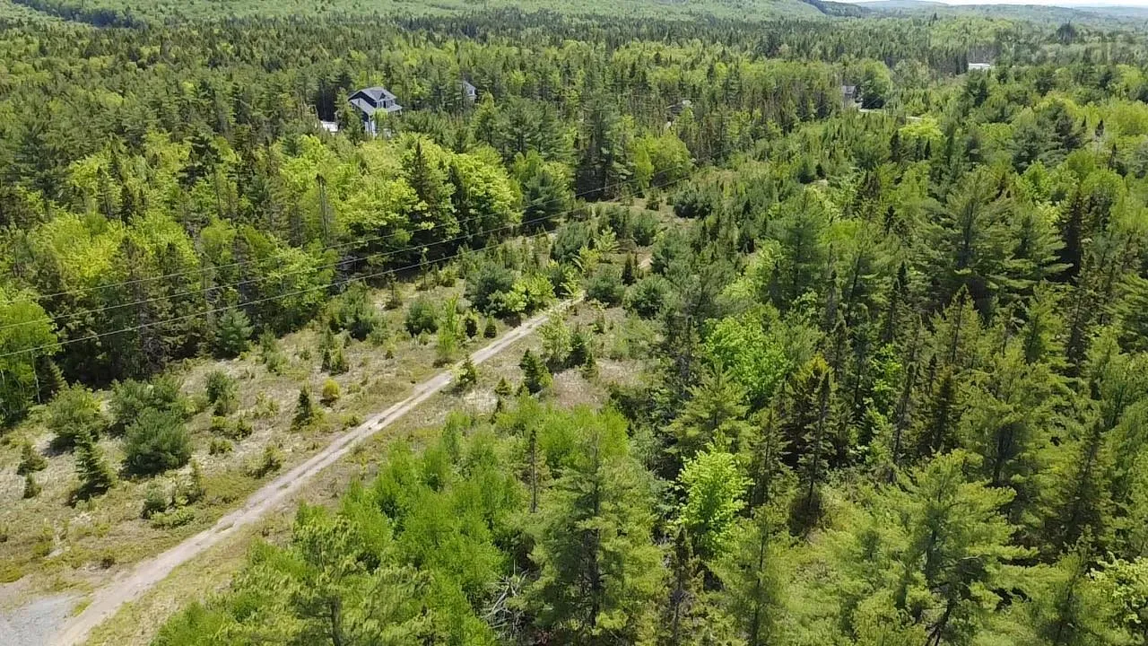 75 Leafs Lane, Wellington, NS B2T 0E7, ,Land,For Sale,Leafs Lane,202518487