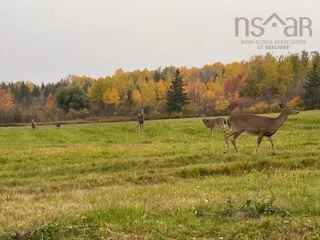 1a Crowley Road Lot 15, South Pugwash, NS B0K 1L0, ,Land,For Sale,Crowley Road,202522324