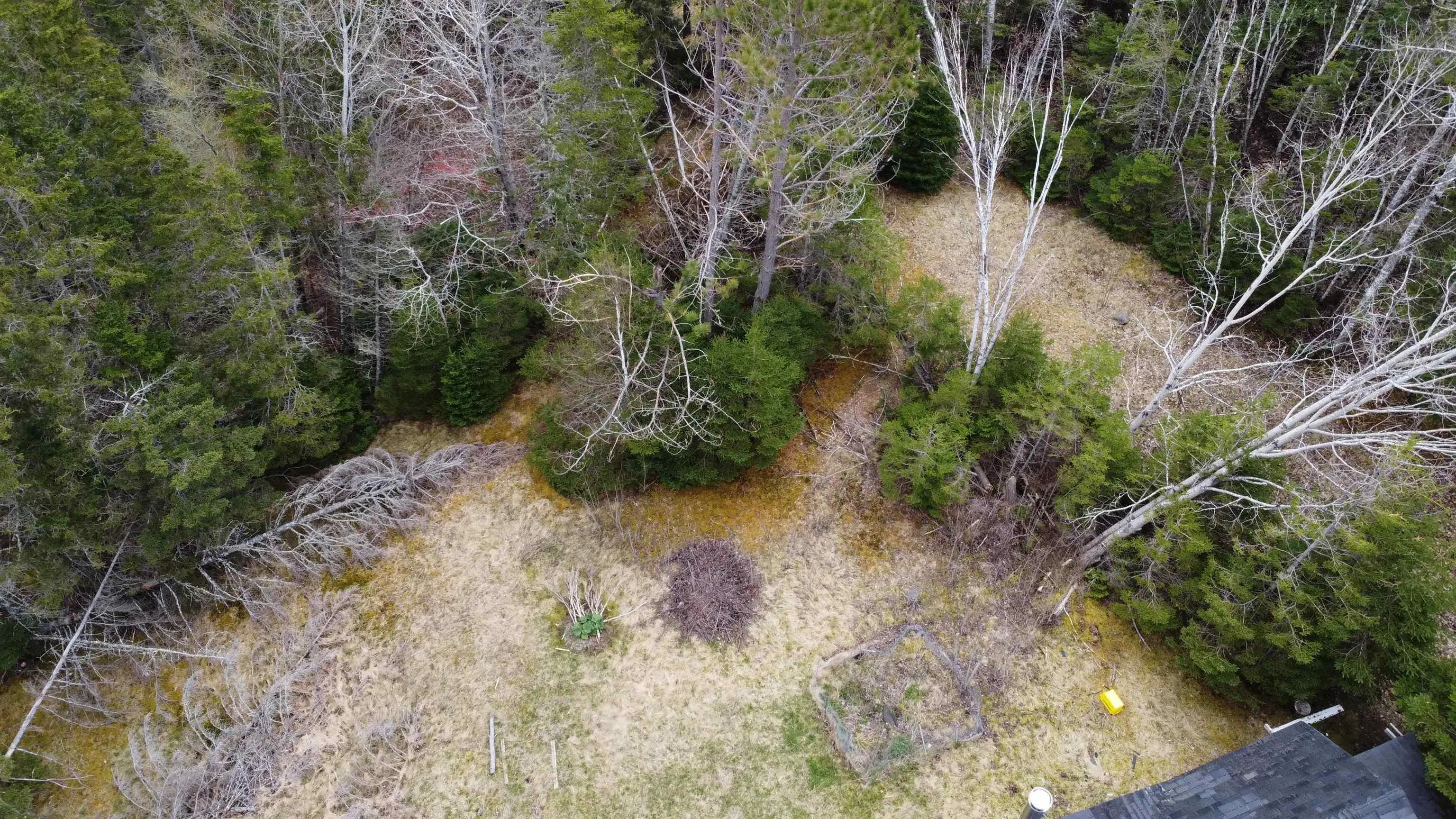 2059 East River West Side Road, Sunnybrae Ns B0k 1b0, 2 Bedrooms Bedrooms, ,1 BathroomBathrooms,Residential,For Sale,East River West Side Road,202510398