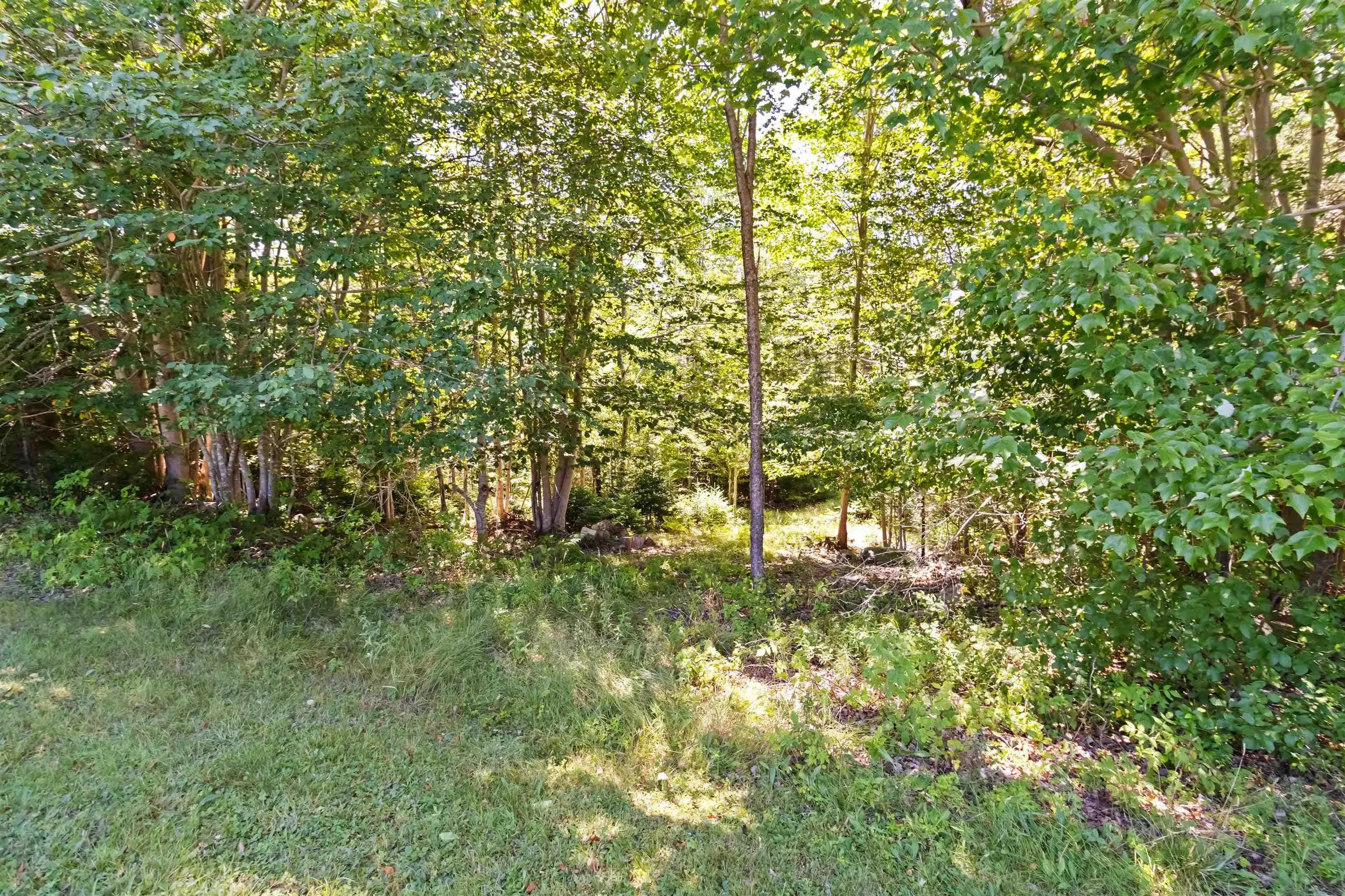 5451 Highway 325, Baker Settlement, NS B4V 7G1, 2 Bedrooms Bedrooms, ,1 BathroomBathrooms,Residential,For Sale,Highway 325,202519289