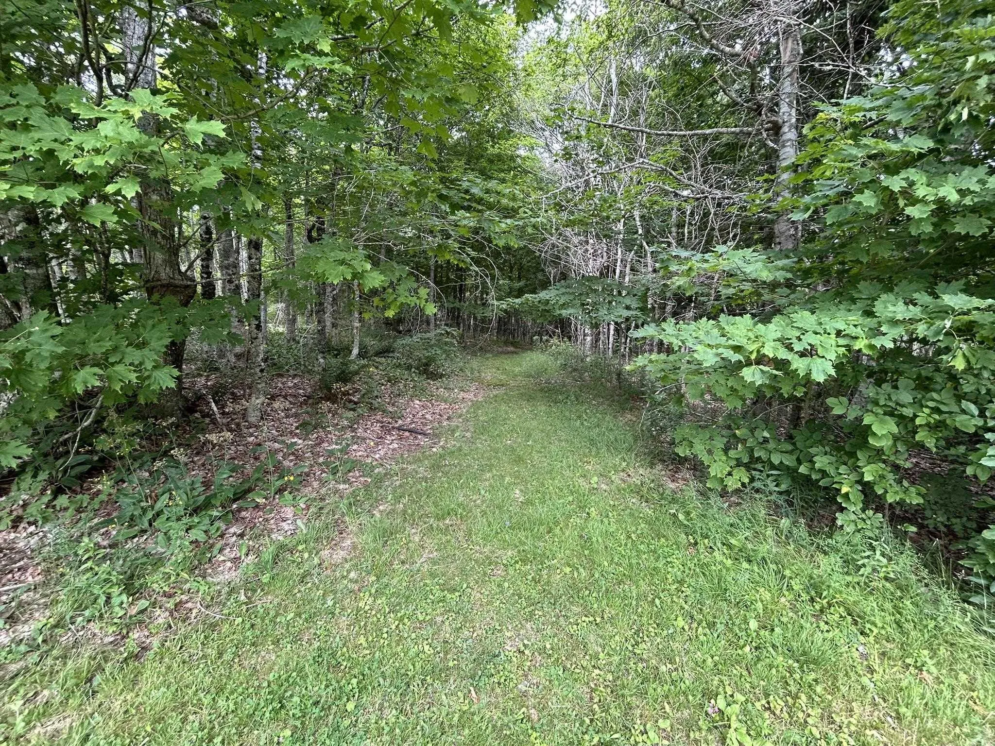 1079 Welch Branch, Forest Hill, NS B4P 2R1, 2 Bedrooms Bedrooms, ,1 BathroomBathrooms,Residential,For Sale,Welch,202518352