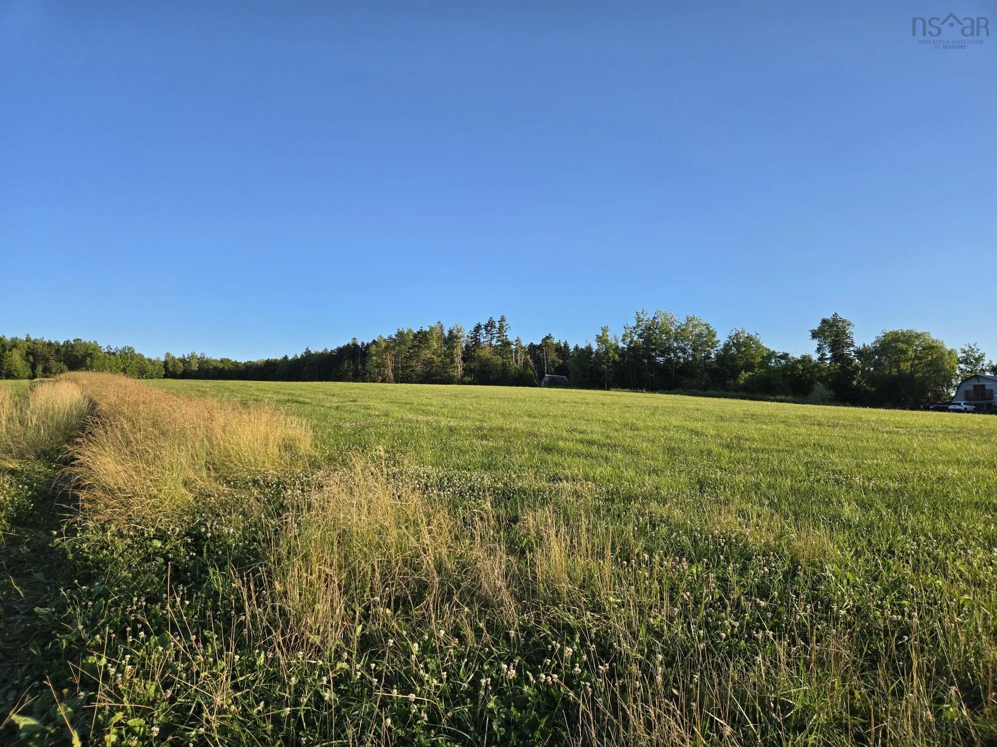 Highway 215 Lot 1, Lower Selma Ns B0n 1t0, ,Land,For Sale,Highway 215,202504078