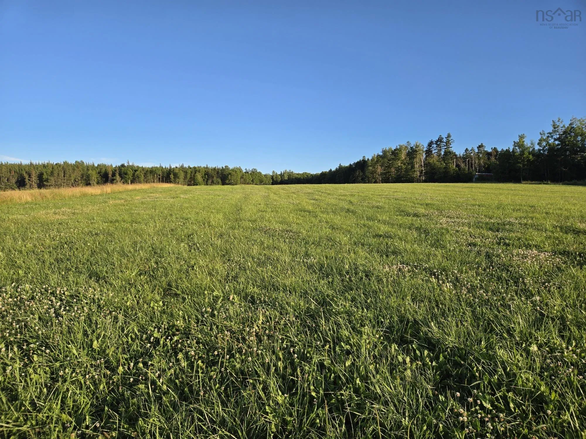 Highway 215 Lot 1, Lower Selma Ns B0n 1t0, ,Land,For Sale,Highway 215,202504078