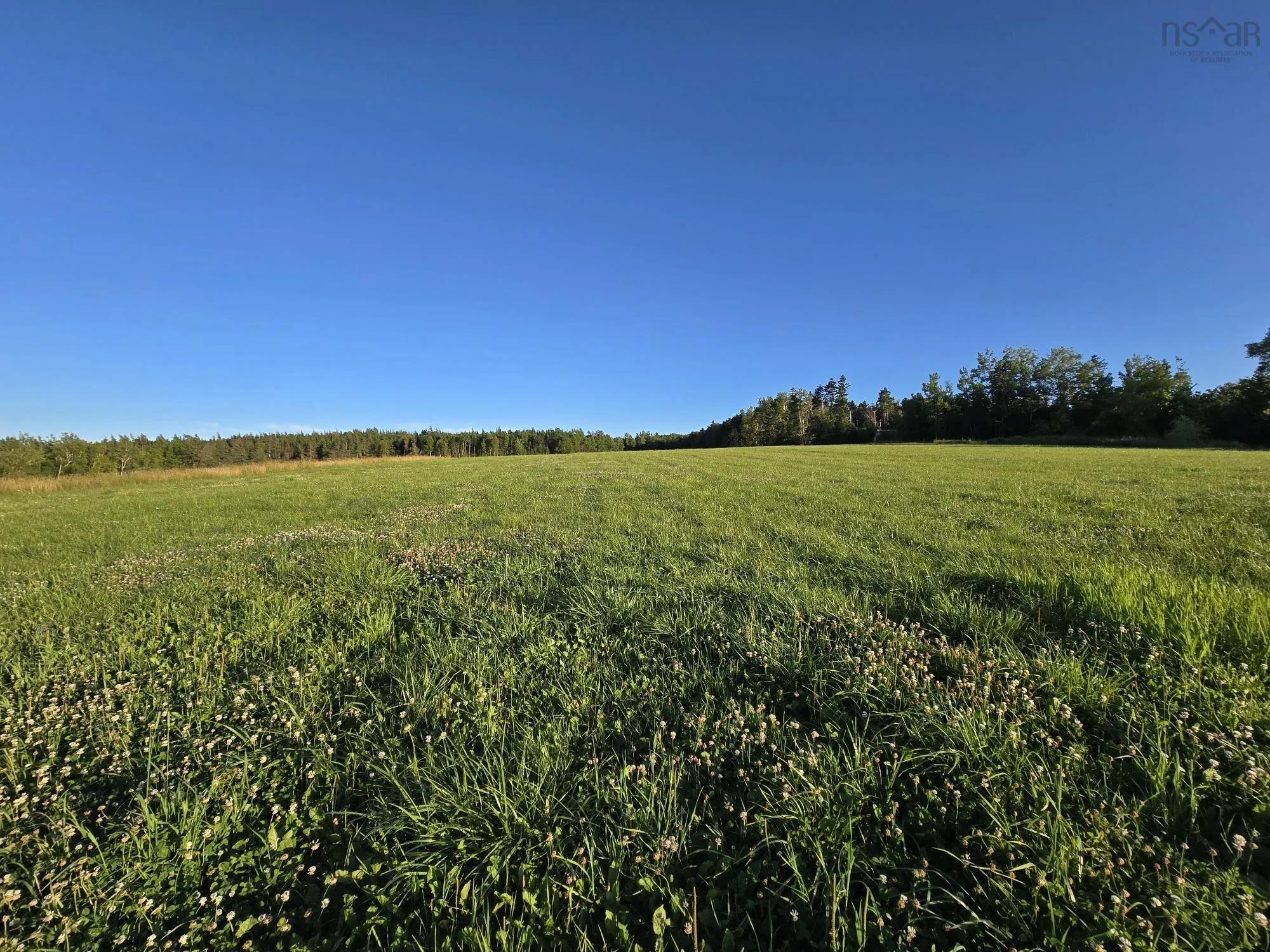 Highway 215 Lot 1, Lower Selma Ns B0n 1t0, ,Land,For Sale,Highway 215,202504078
