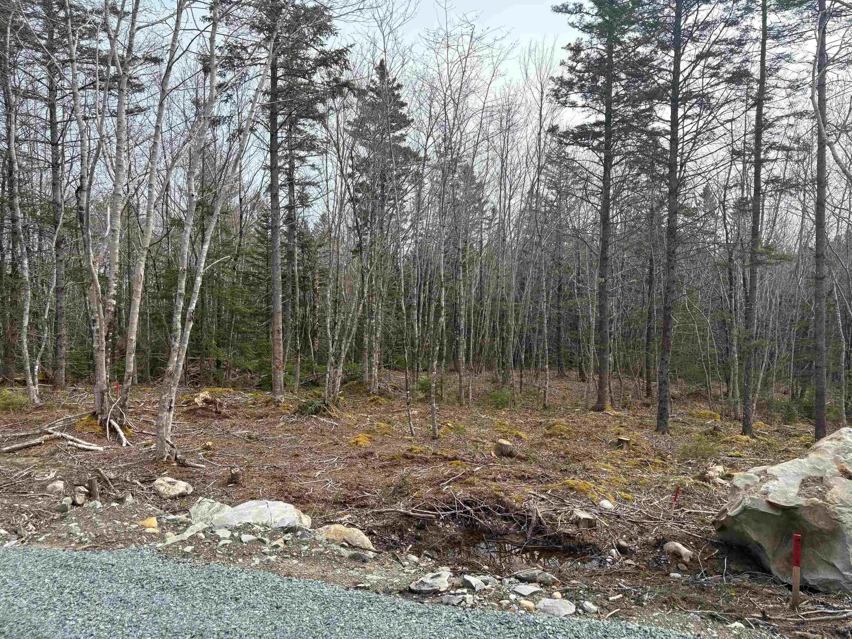 Larry Seldon Lane Lot 4, Western Head, NS B0T 1K0, ,Land,For Sale,Larry Seldon,202427655