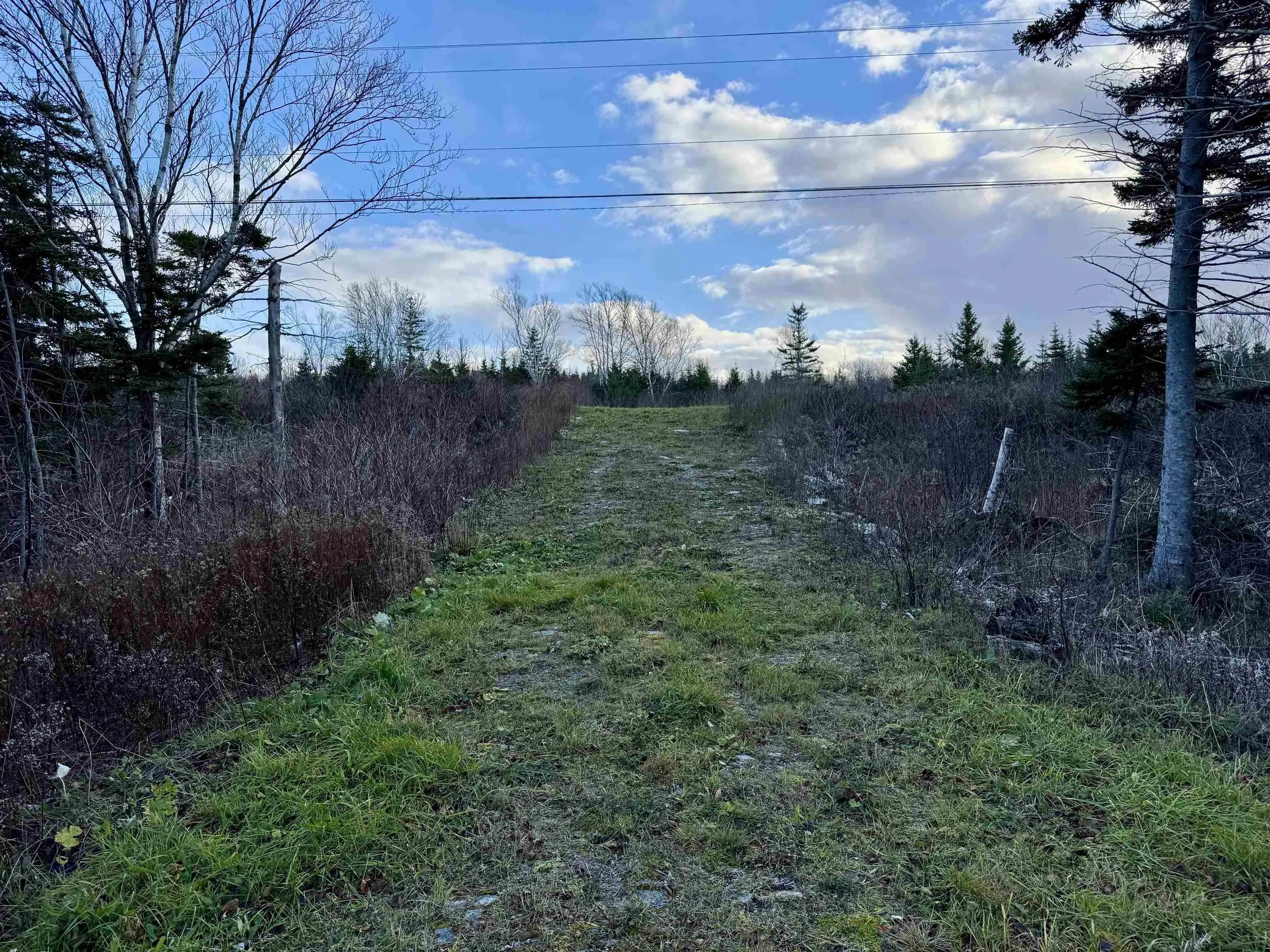 Highway 104, Irish Cove Ns B0e 3b0, ,Land,For Sale,Highway 104,202427634
