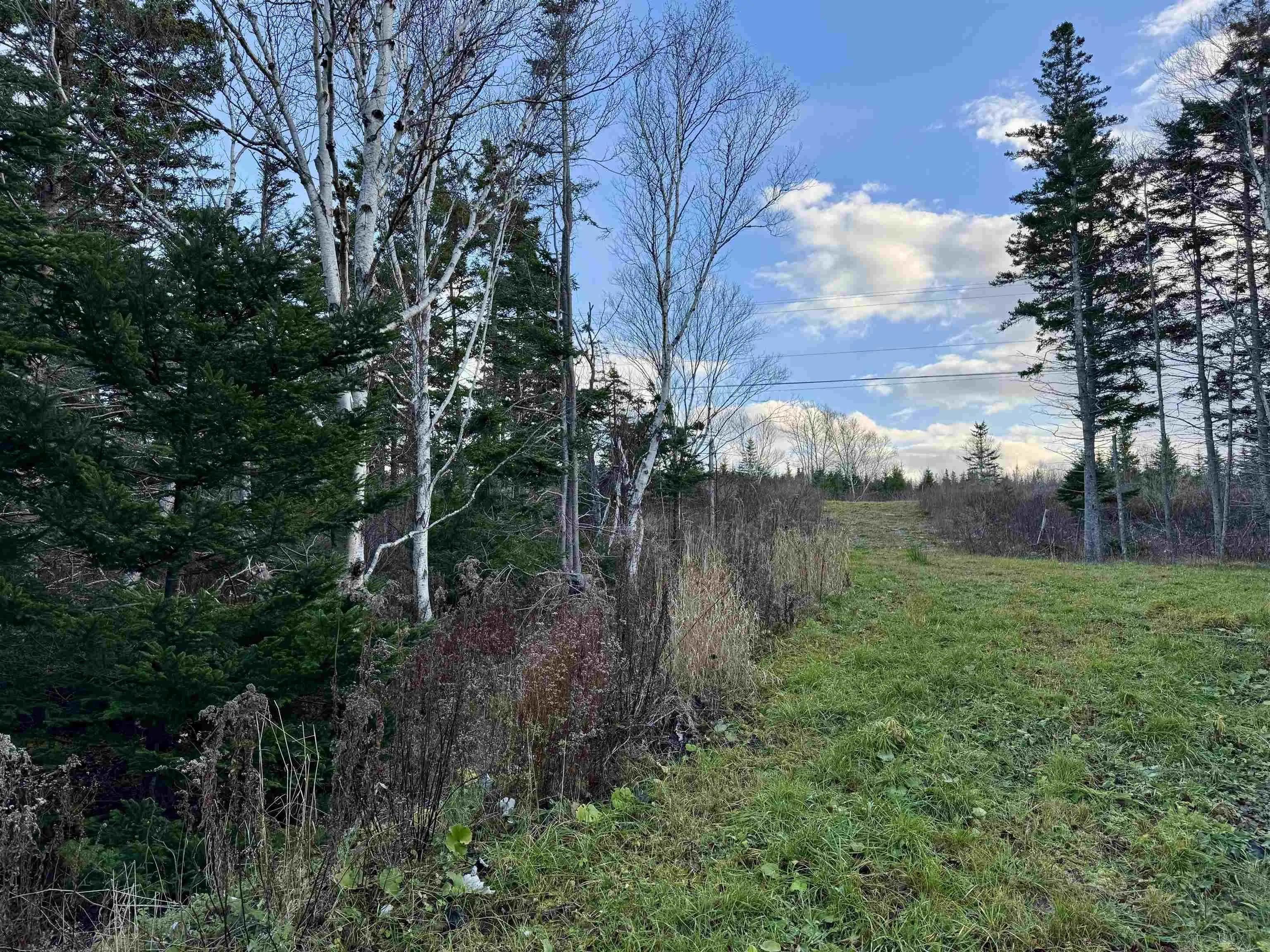 Highway 104, Irish Cove Ns B0e 3b0, ,Land,For Sale,Highway 104,202427634