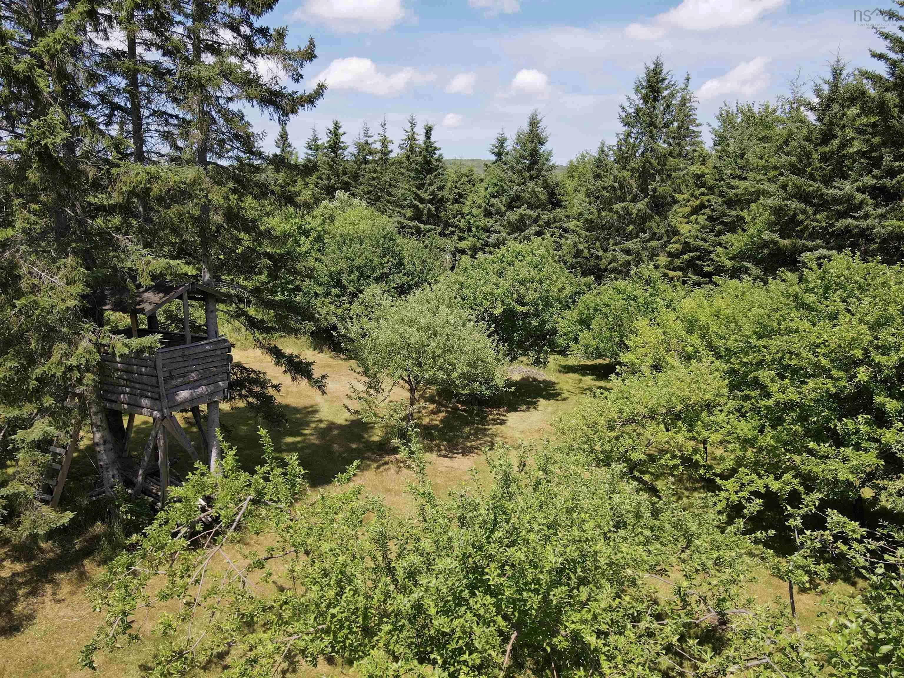 2639 Cabot Trail, Middle River Ns B0e 1b0, 4 Bedrooms Bedrooms, ,2 BathroomsBathrooms,Residential,For Sale,Cabot,202425434