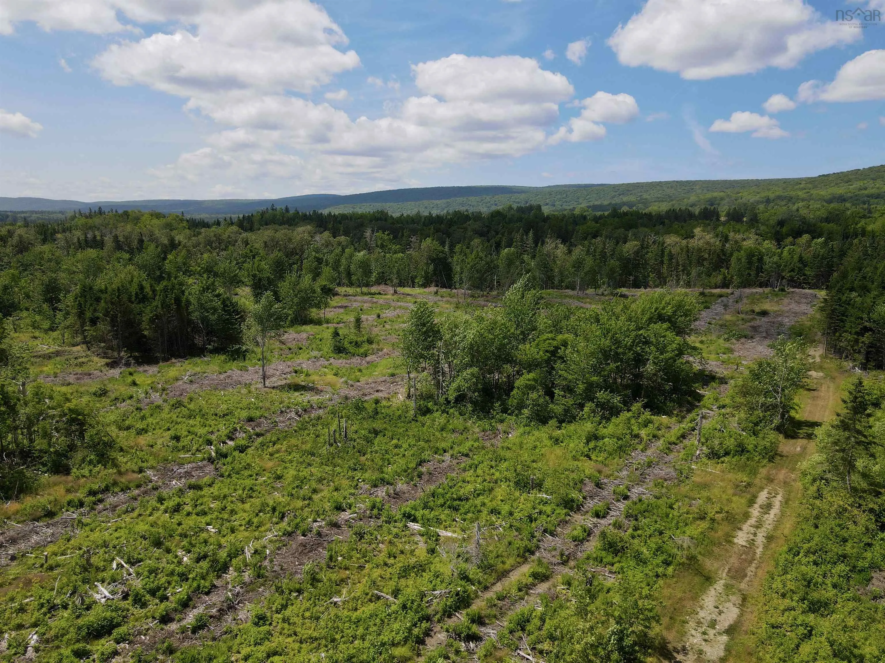 2639 Cabot Trail, Middle River Ns B0e 1b0, 4 Bedrooms Bedrooms, ,2 BathroomsBathrooms,Residential,For Sale,Cabot,202425434