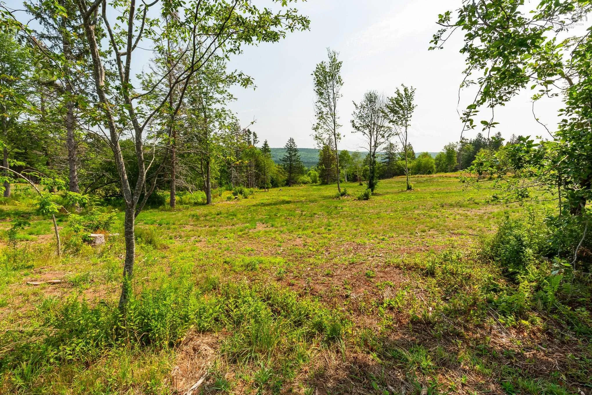 Highway 19, Hawleys Hill Highway Lot 2, Mabou Ns B0e 1x0, ,Land,For Sale,Highway 19, Hawleys Hill,202424379