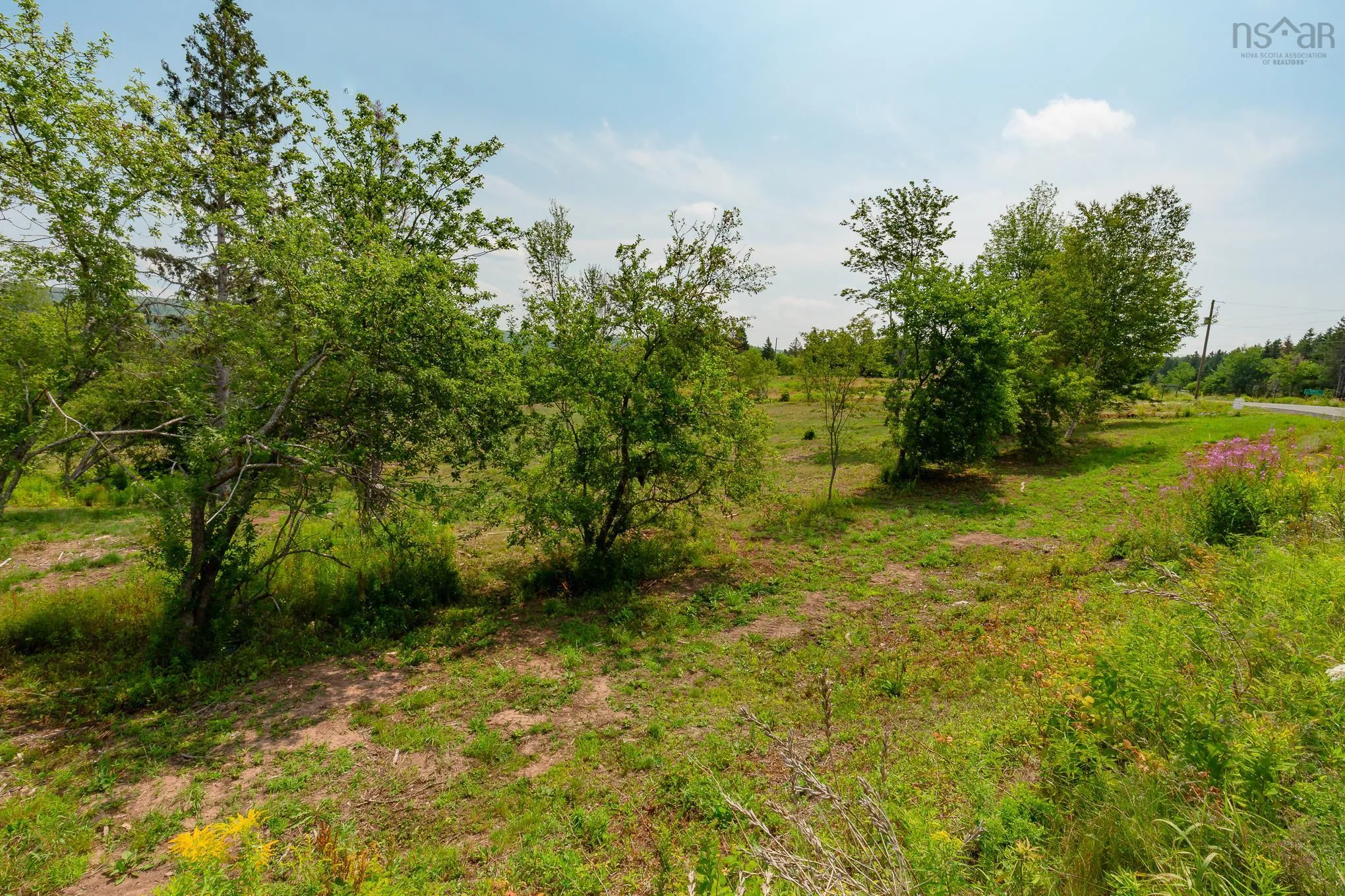 Highway 19, Hawleys Hill Highway Lot 2, Mabou Ns B0e 1x0, ,Land,For Sale,Highway 19, Hawleys Hill,202424379
