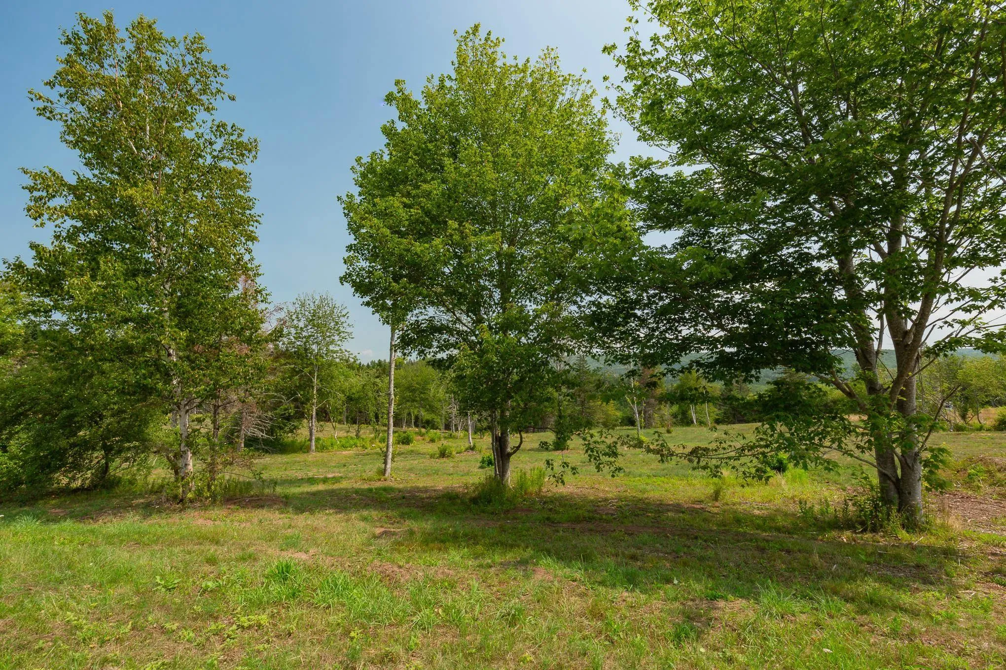 Highway 19, Hawleys Hill Highway Lot 2, Mabou Ns B0e 1x0, ,Land,For Sale,Highway 19, Hawleys Hill,202424379