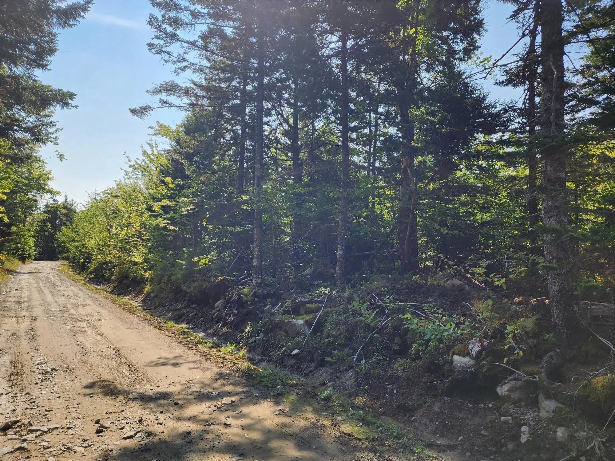 875 Beech Hill Road, Beech Hill Farms Ns B0t 1g0, 2 Bedrooms Bedrooms, ,2 BathroomsBathrooms,Residential,For Sale,Beech Hill,202422336