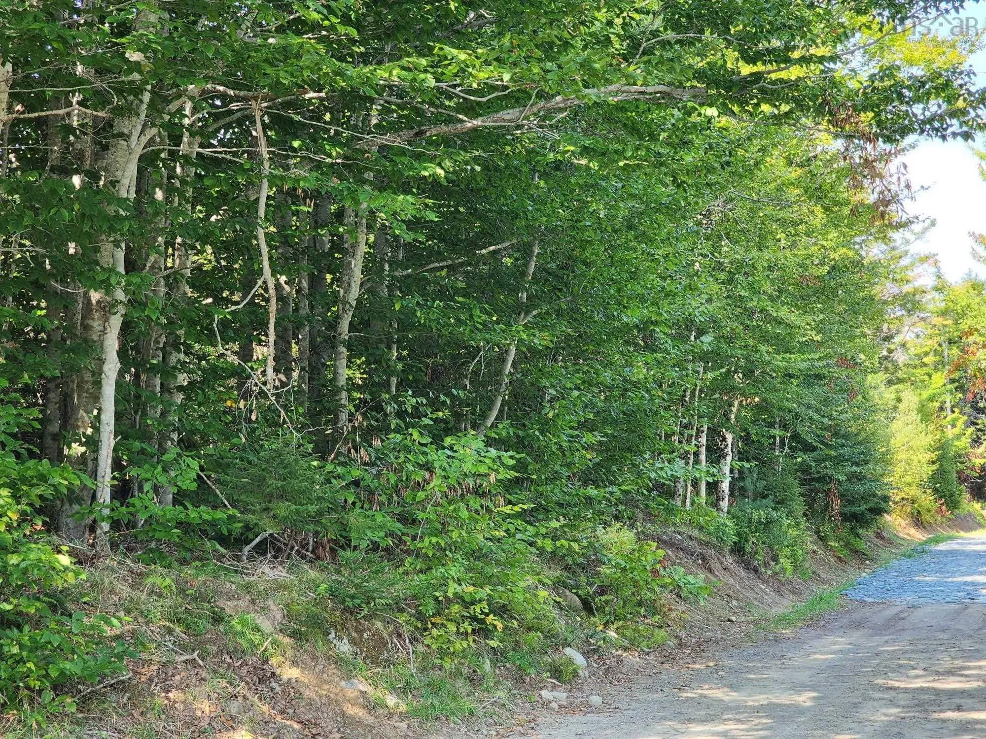 875 Beech Hill Road, Beech Hill Farms Ns B0t 1g0, 2 Bedrooms Bedrooms, ,2 BathroomsBathrooms,Residential,For Sale,Beech Hill,202422336
