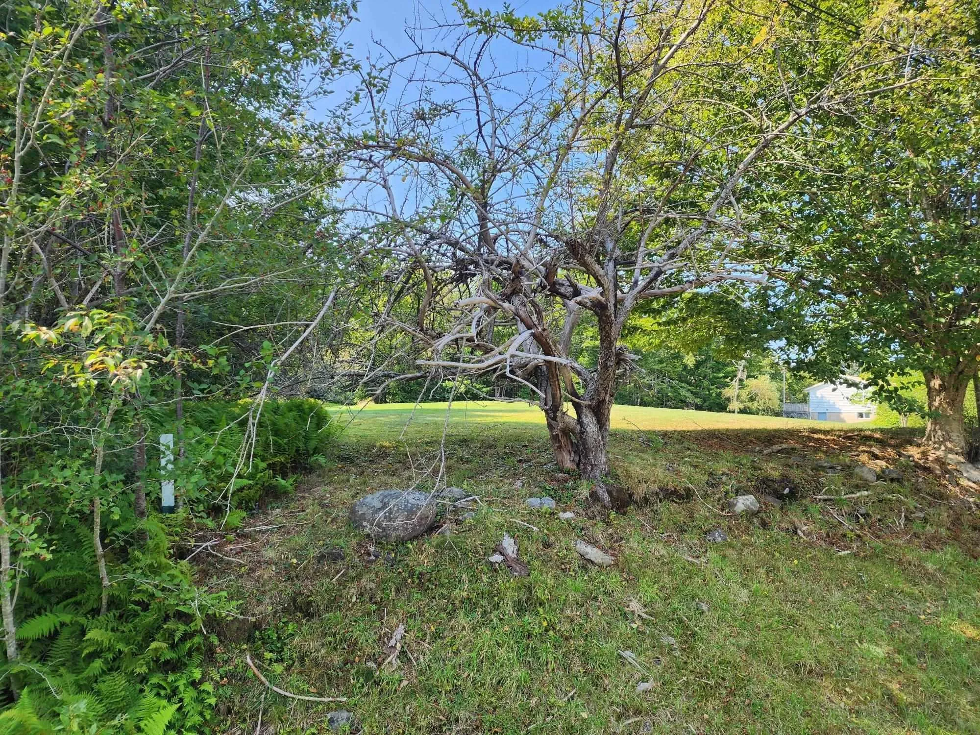 875 Beech Hill Road, Beech Hill Farms Ns B0t 1g0, 2 Bedrooms Bedrooms, ,2 BathroomsBathrooms,Residential,For Sale,Beech Hill,202422336