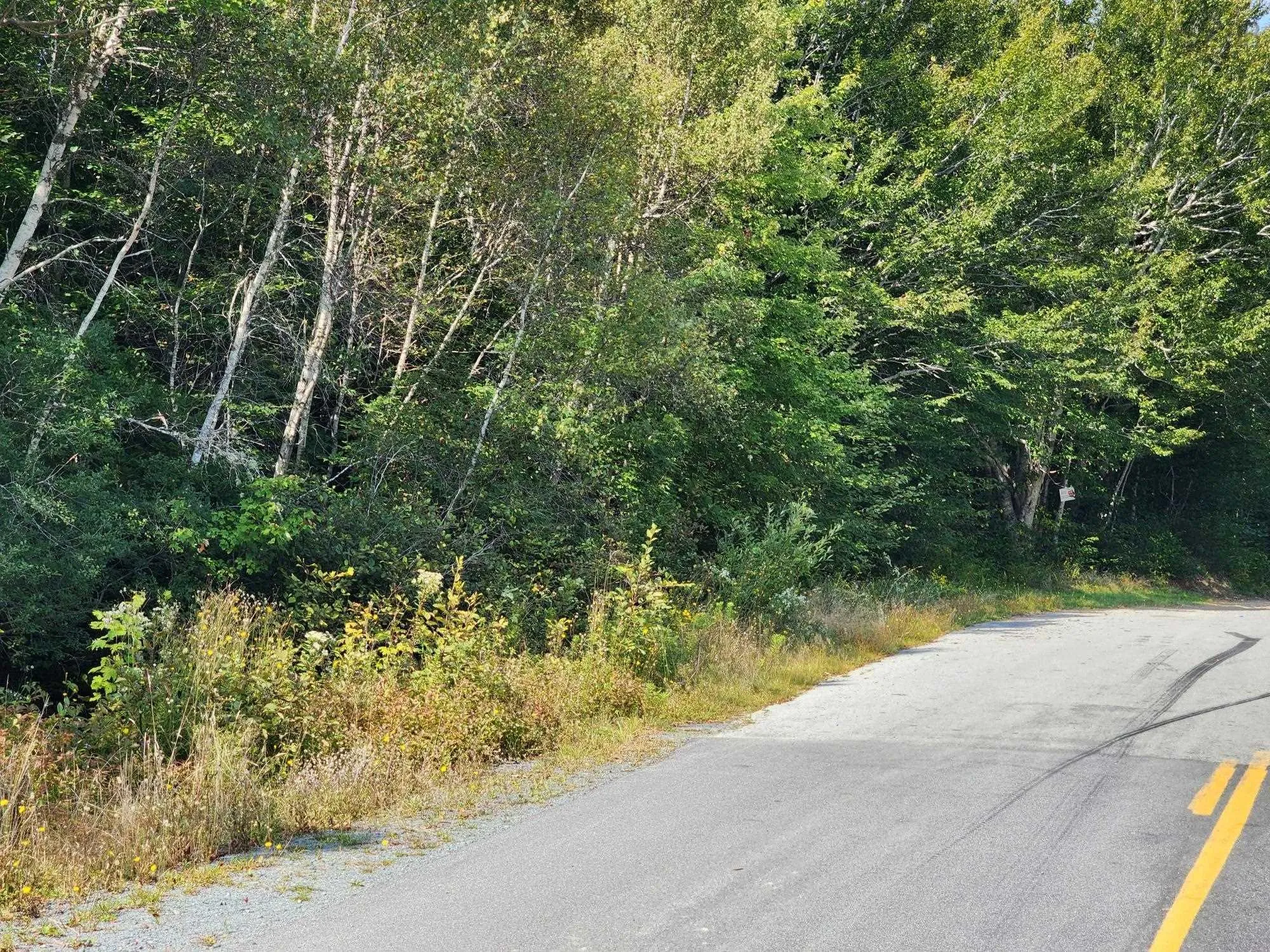 875 Beech Hill Road, Beech Hill Farms Ns B0t 1g0, 2 Bedrooms Bedrooms, ,2 BathroomsBathrooms,Residential,For Sale,Beech Hill,202422336