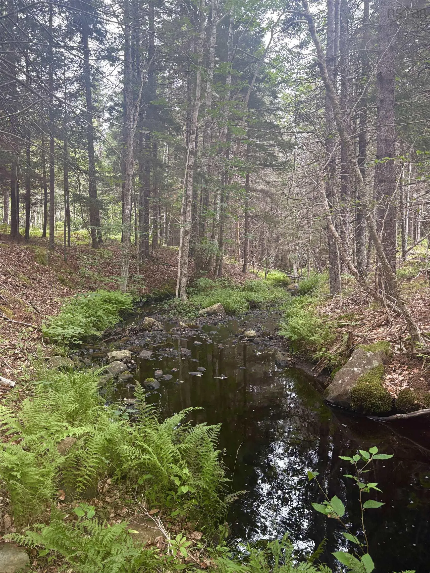 415 Sissiboo Road, Weymouth, NS B0W 3T0, ,Land,For Sale,Sissiboo Road,202520742