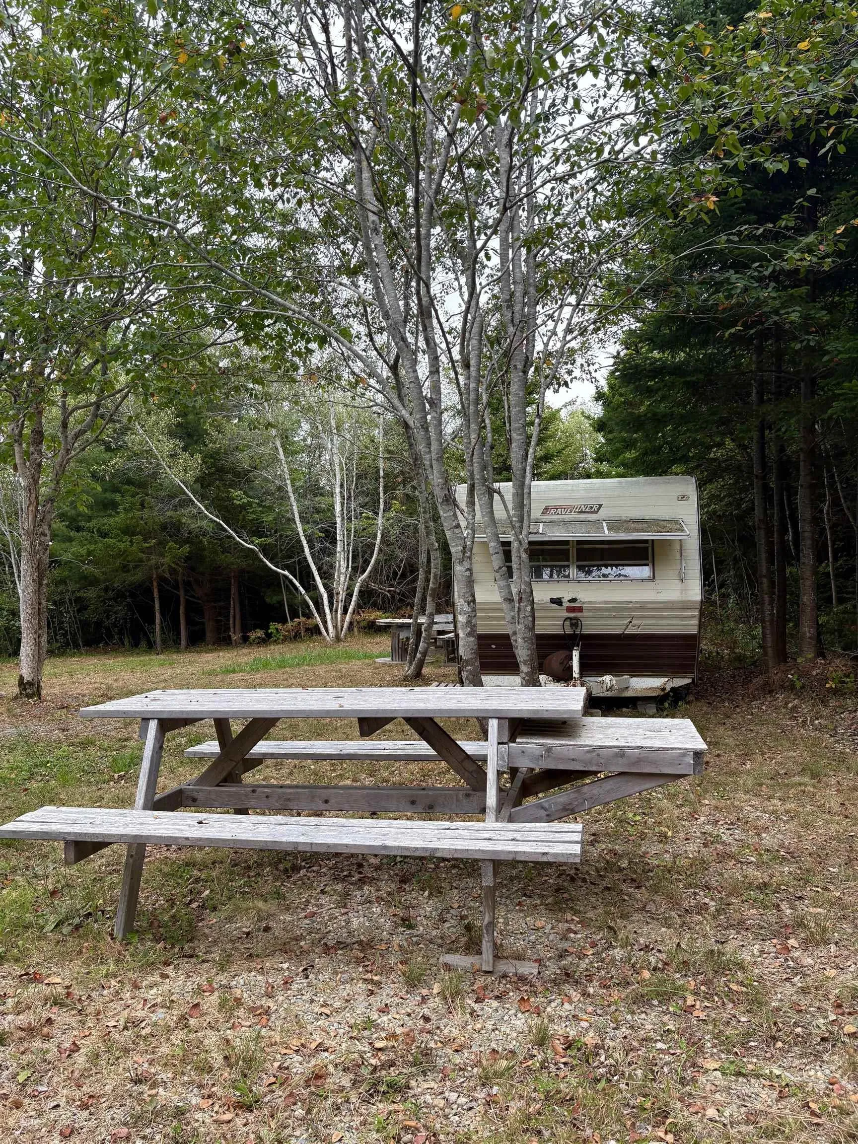 415 Sissiboo Road, Weymouth, NS B0W 3T0, ,Land,For Sale,Sissiboo Road,202520742