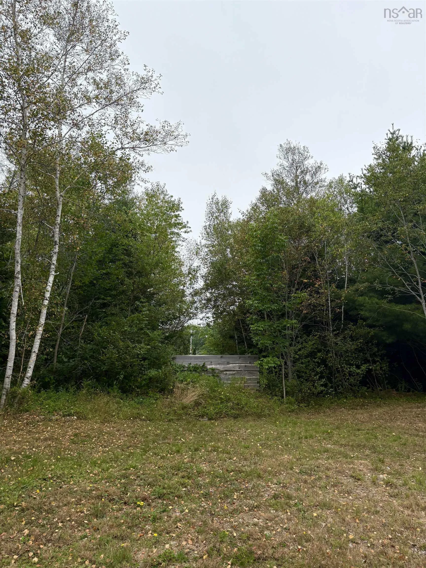 415 Sissiboo Road, Weymouth, NS B0W 3T0, ,Land,For Sale,Sissiboo Road,202520742