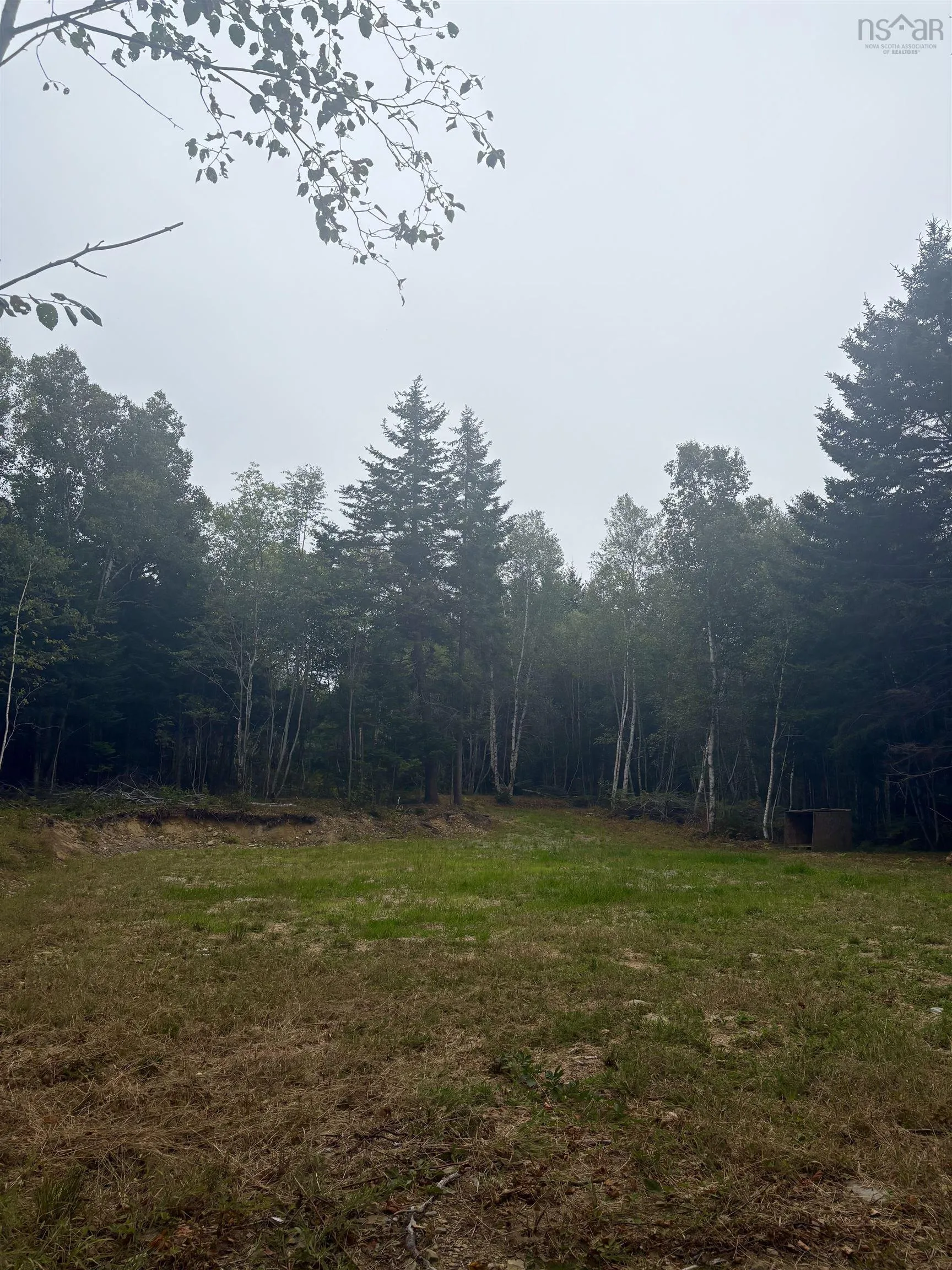 415 Sissiboo Road, Weymouth, NS B0W 3T0, ,Land,For Sale,Sissiboo Road,202520742