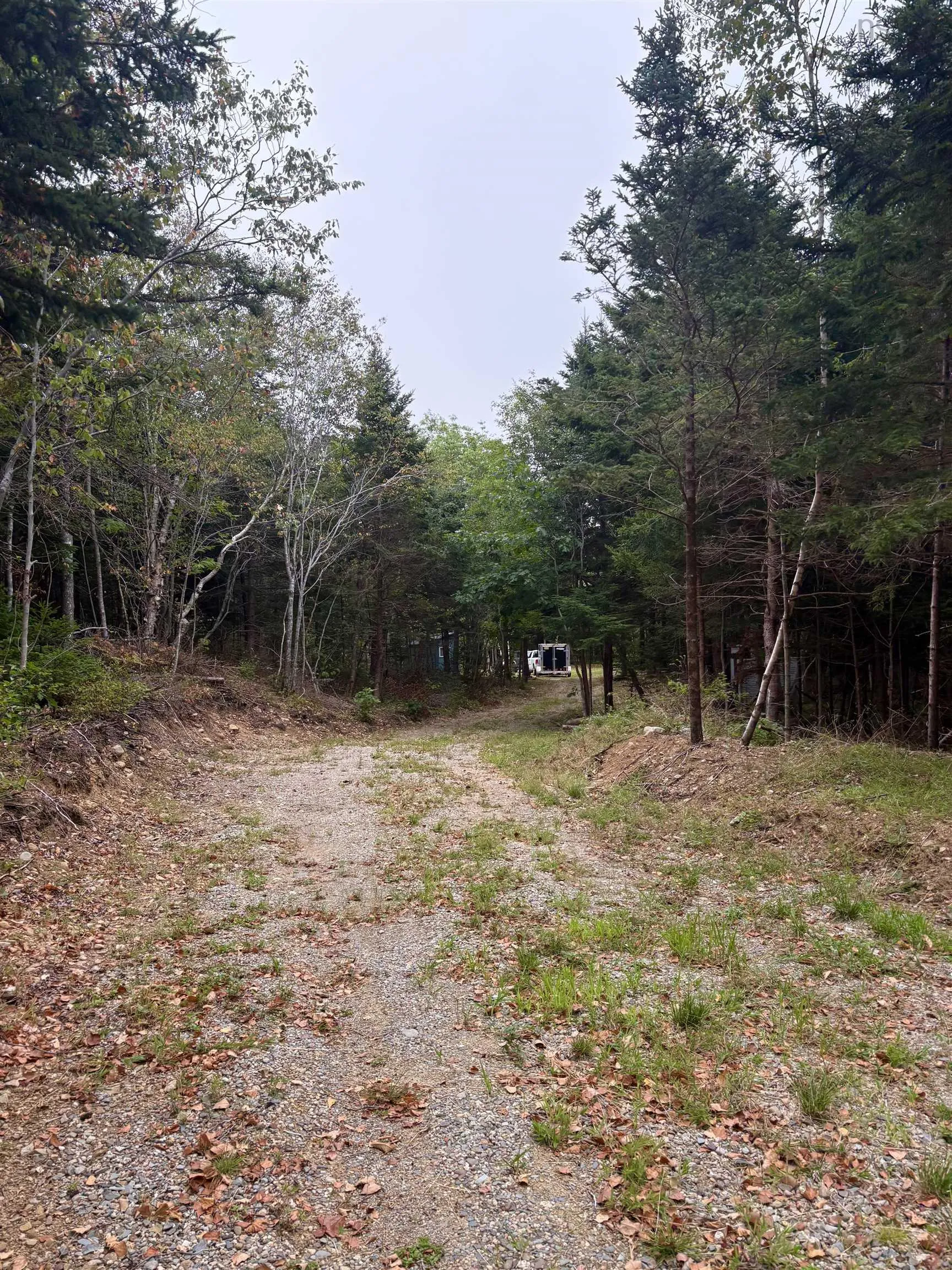 415 Sissiboo Road, Weymouth, NS B0W 3T0, ,Land,For Sale,Sissiboo Road,202520742