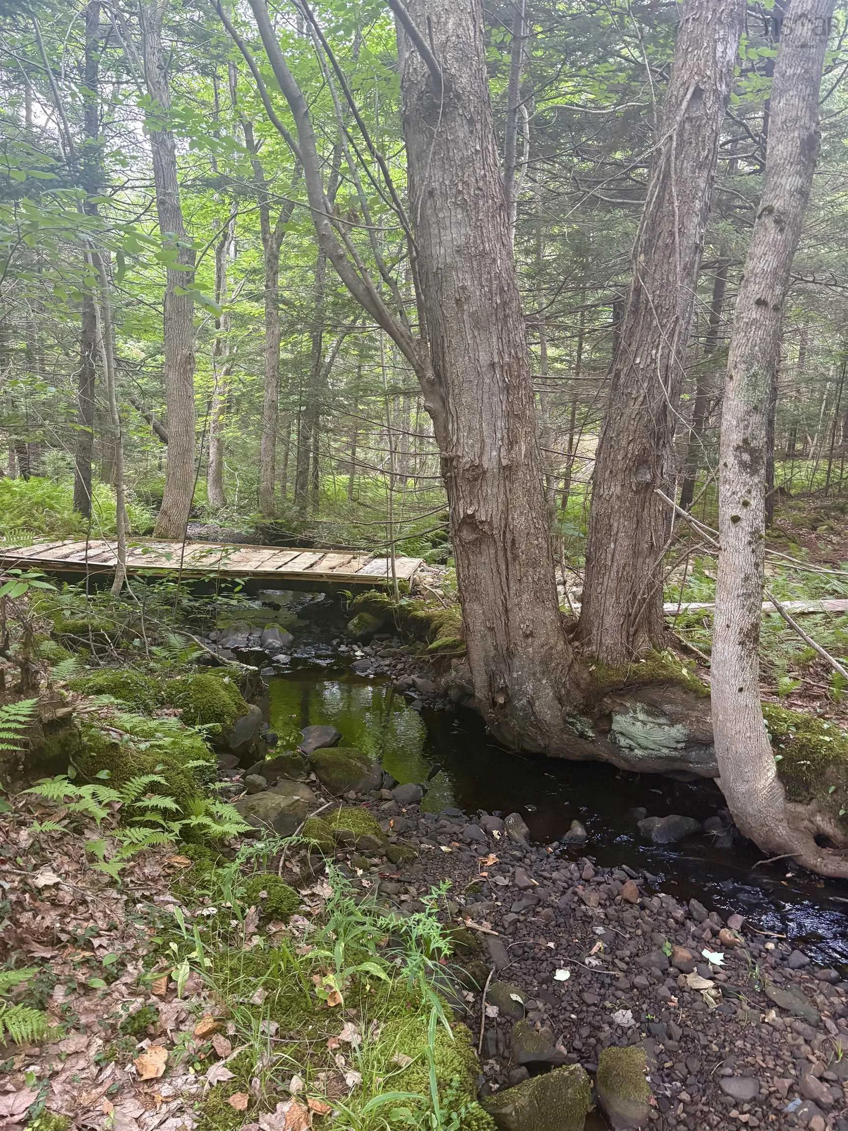 415 Sissiboo Road, Weymouth, NS B0W 3T0, ,Land,For Sale,Sissiboo Road,202520742
