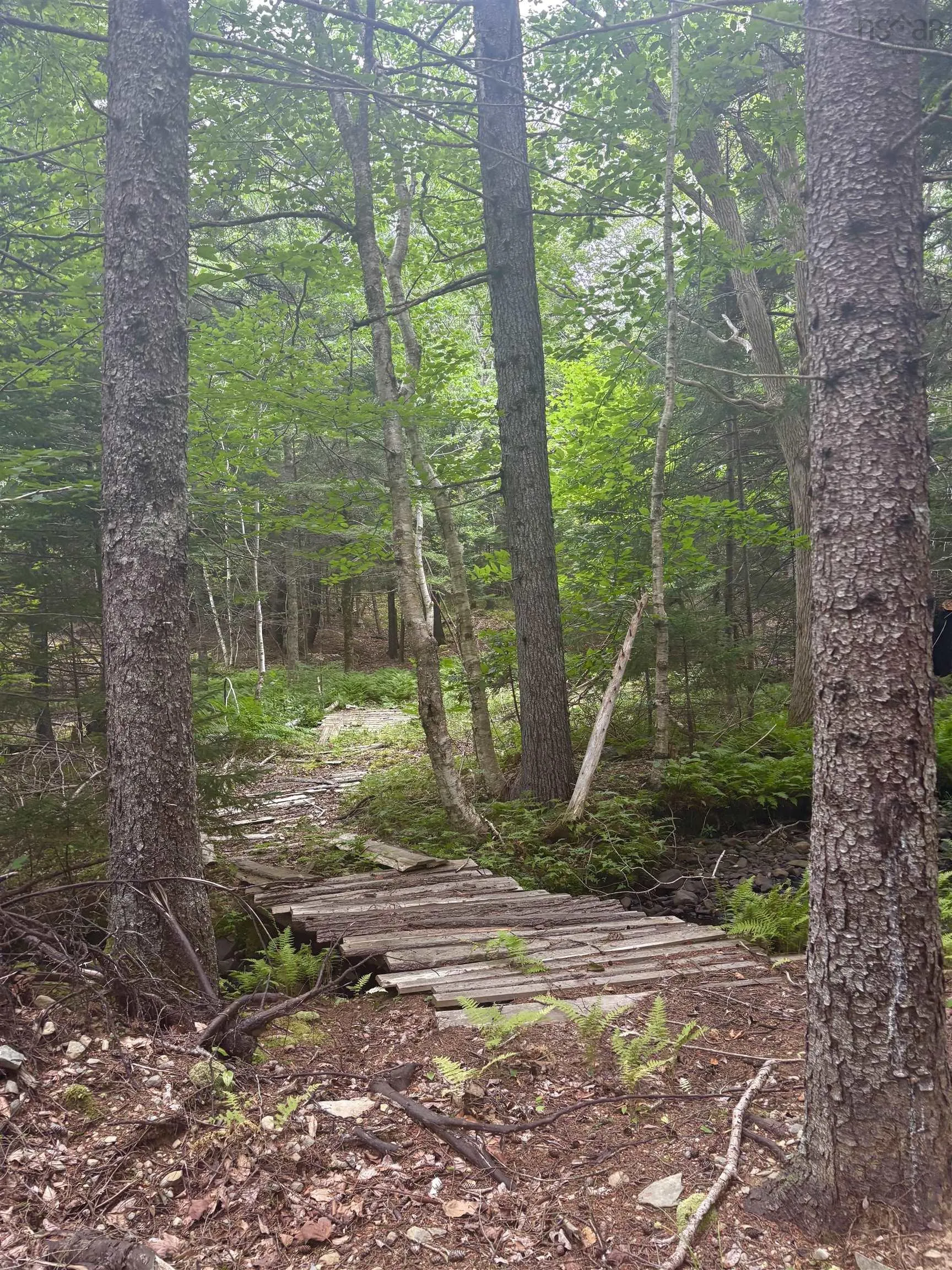 415 Sissiboo Road, Weymouth, NS B0W 3T0, ,Land,For Sale,Sissiboo Road,202520742
