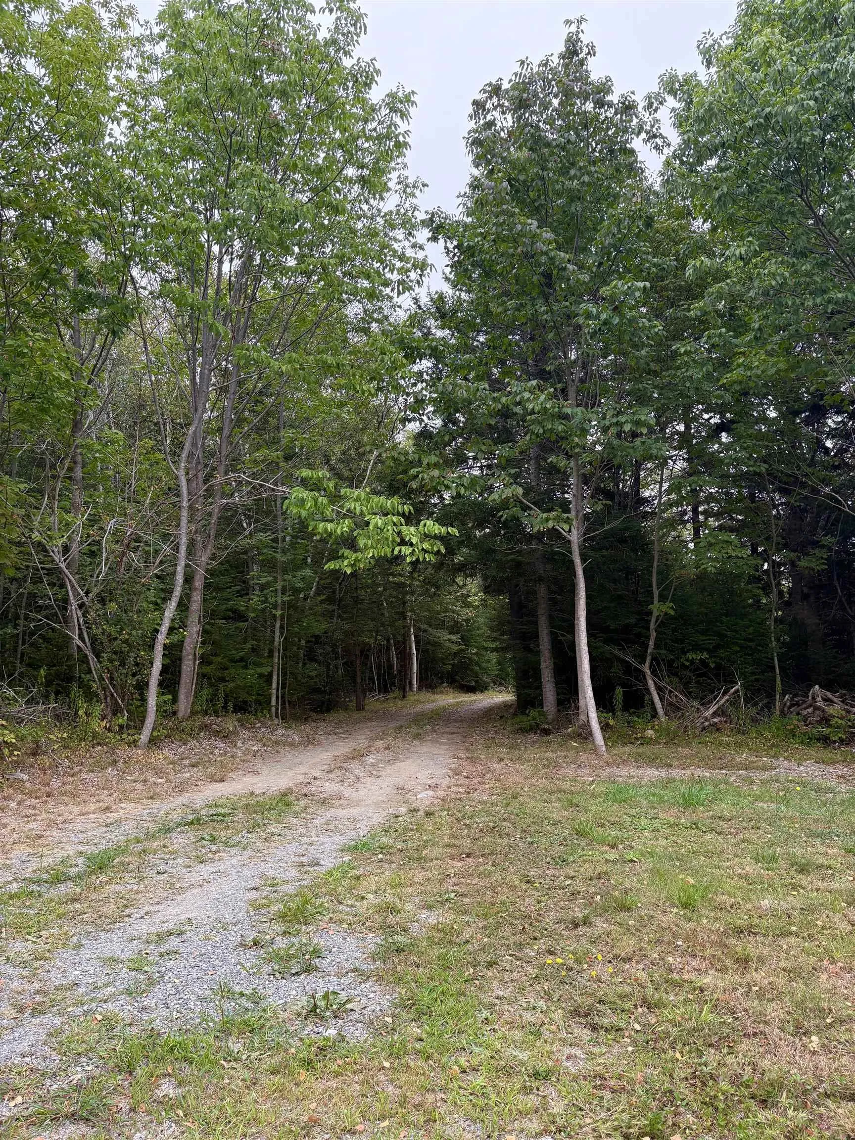 415 Sissiboo Road, Weymouth, NS B0W 3T0, ,Land,For Sale,Sissiboo Road,202520742