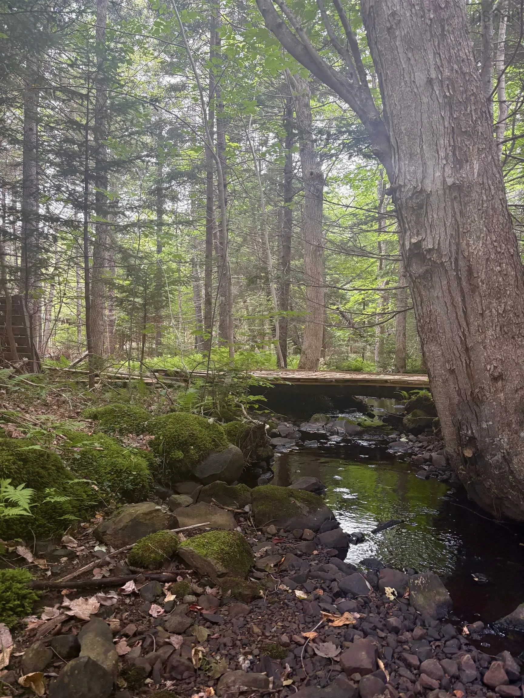 415 Sissiboo Road, Weymouth, NS B0W 3T0, ,Land,For Sale,Sissiboo Road,202520742