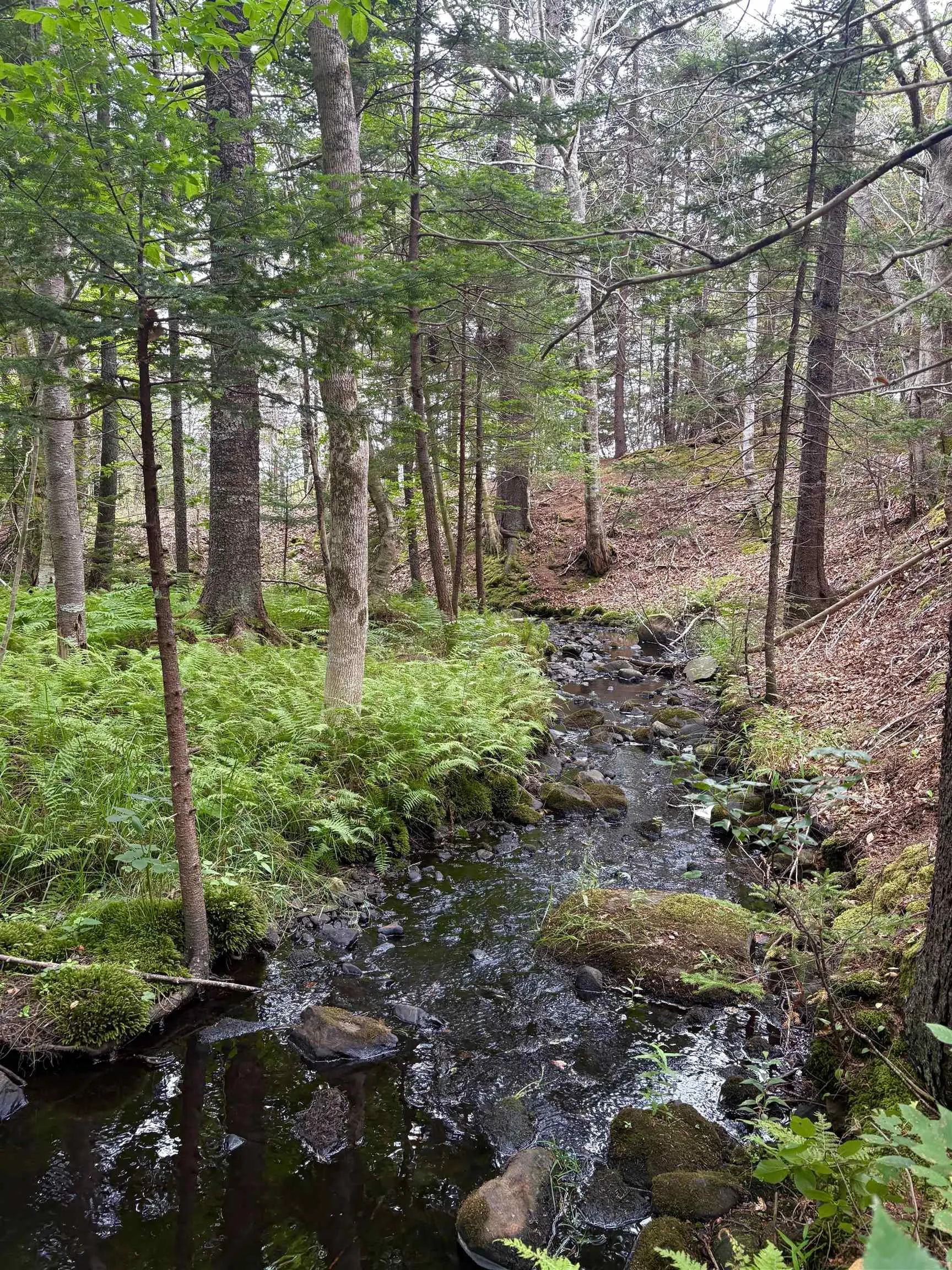 415 Sissiboo Road, Weymouth, NS B0W 3T0, ,Land,For Sale,Sissiboo Road,202520742